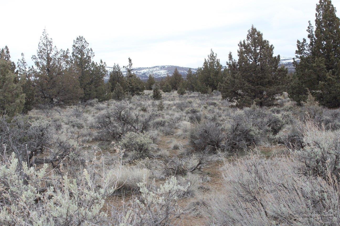 Juniper Acres - Land