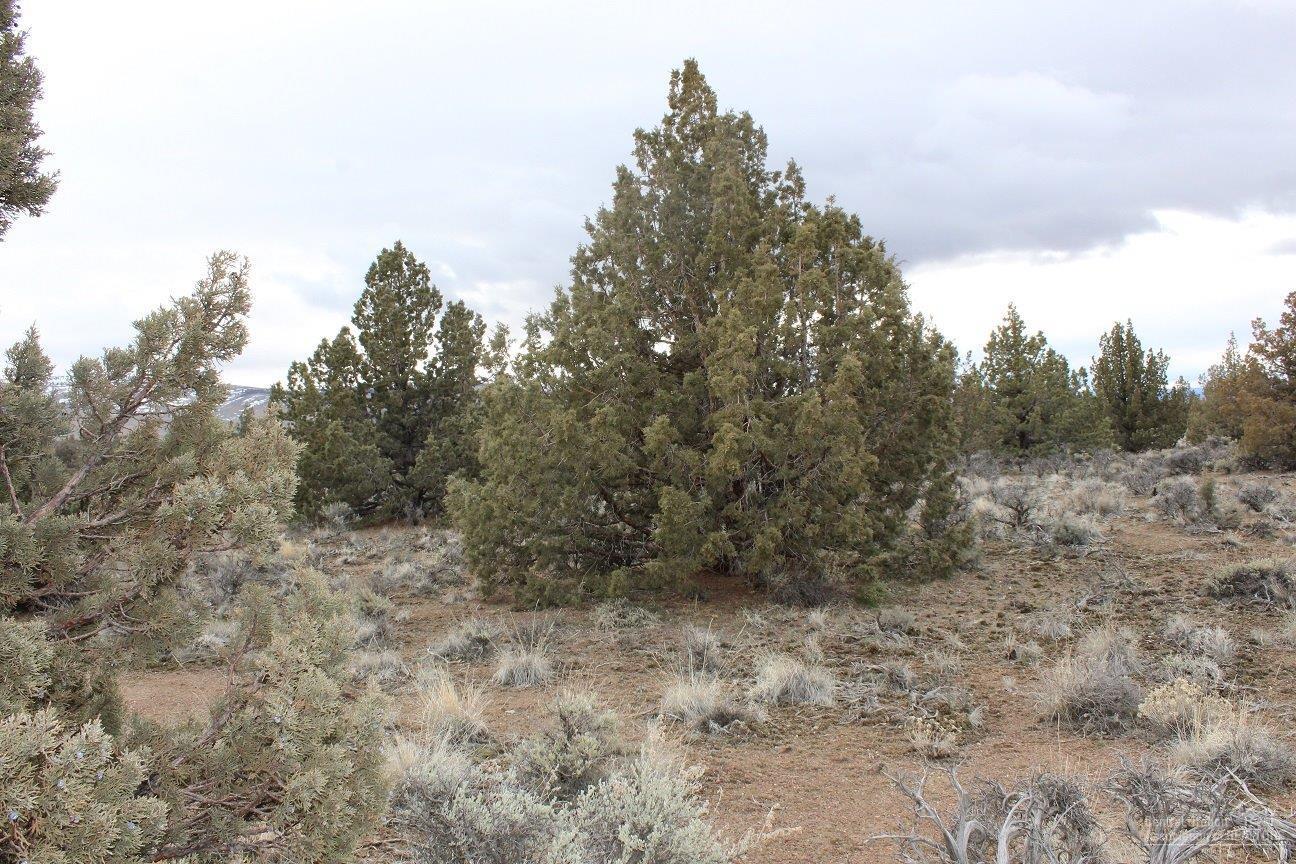 Juniper Acres - Land