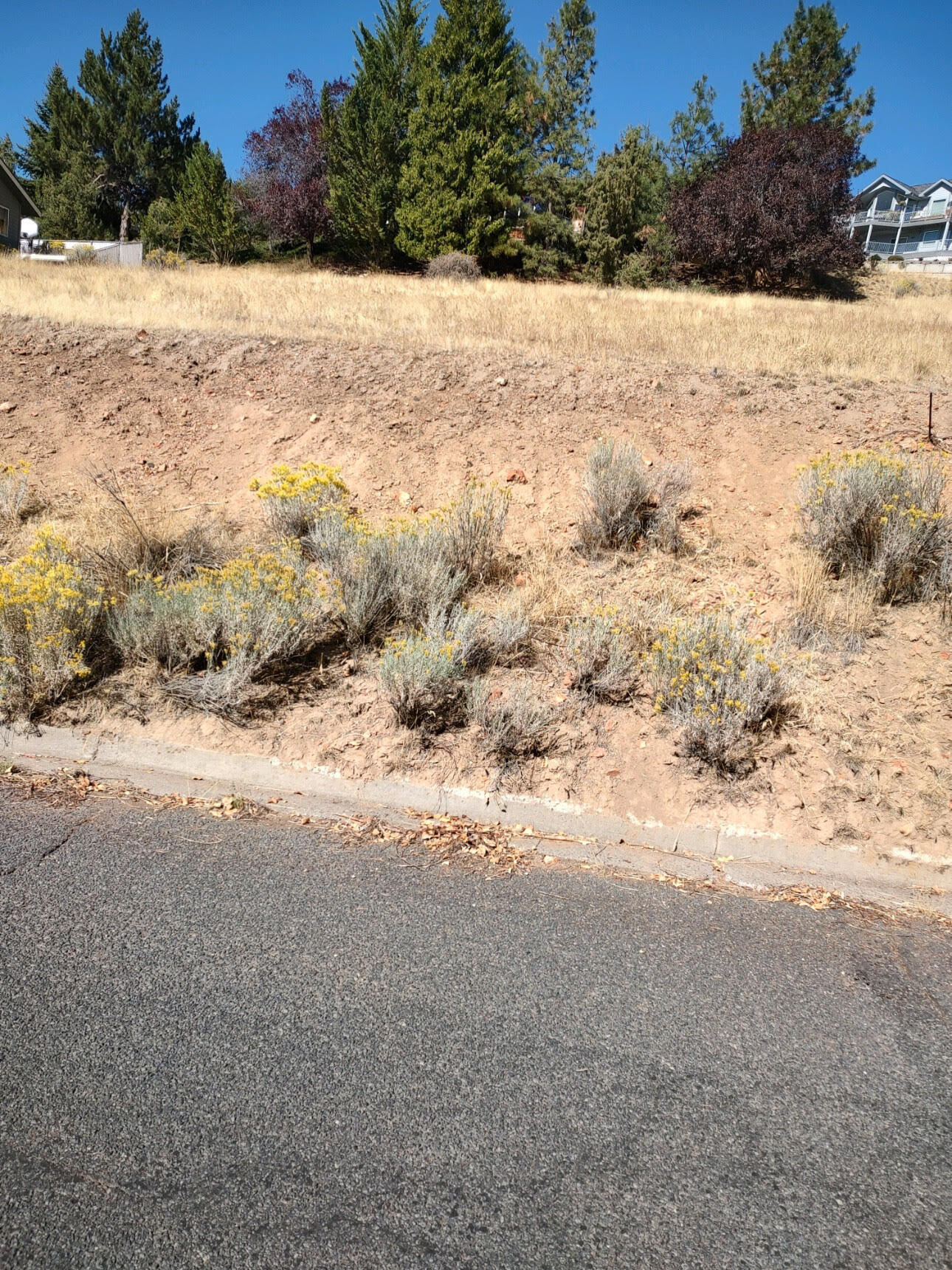 Klamath Falls -Nob Hill - Land
