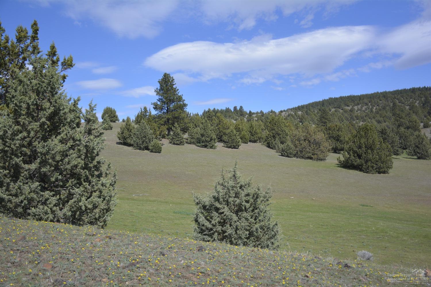 Ashwood - Land