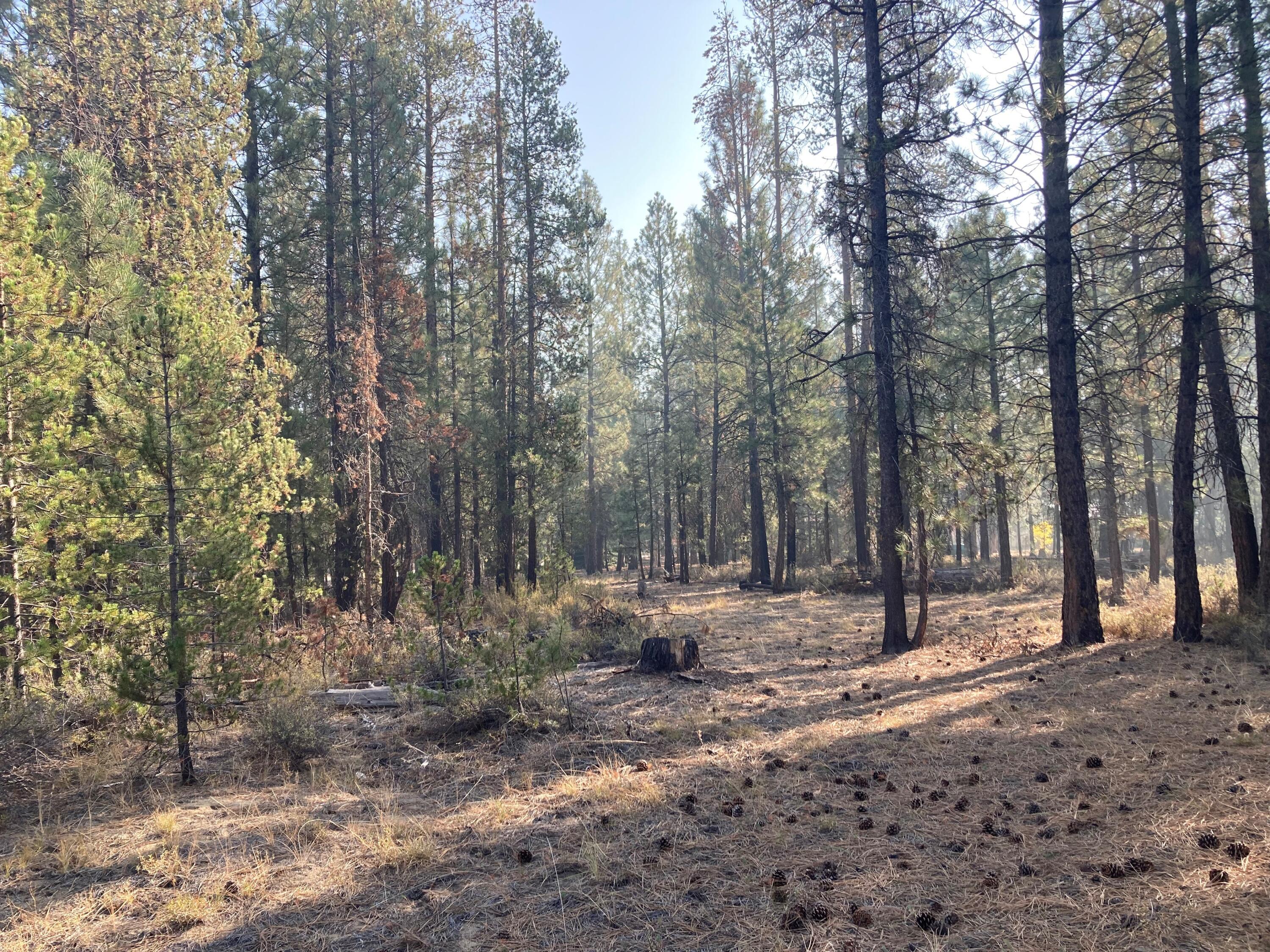 Very nice 1 acre parcel on a corner lot just off Masten Road. Close to Highway 97 and the city of La Pine. It has a septic but will need to be upgraded. There is also an old well, non-functioning on the property. Please call your broker today to schedule a time to view this great piece of property in Central Oregon.