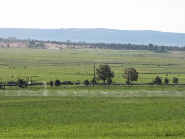 This Well Balanced Cattle Ranch Is Located Approx 2 Miles East Of Bonanza At The No End Of Langell Valleys Ranching And Farming Area. Generally The Ranch Is A Mix Of Timbered Ridges And Broad Productive Irrigated Valleys. There Is A Total Of 1882 Acres / 869 Irrigated. The Hay And Pasture Land Is Irrigated From 2 Wells And The Horsefly & Langell Valley Irrigation Districts. The Elev Is 4100' With 13 Of Annual Rain. The Area Enjoys Sunny High Desert Climate W/4 Seasons. Bonanza Is The Nearest Town.There Are 2 Wells On The Property One Pumps 1900 Gmp The Other Tested At 7000 Gpm. The Main Home Is Nicely Remodeled 4bed 2bath Large Deck And Fenced Yard On A Small Knoll Overlooking The Pastures And Hay Fields. The Home Has Updated Cabinets, Bath's, Flooring And Appliances. 3 Hay Sheds With Over 10k Sf Of Storage. One Has A Slab Concrete Floor And Walls For Grain Storage. There Are 2 New Modern All Steel Working Corrals, Loading Chute, Custom Sweep Tub, And 60k Elec Scale. This Ranch Histor