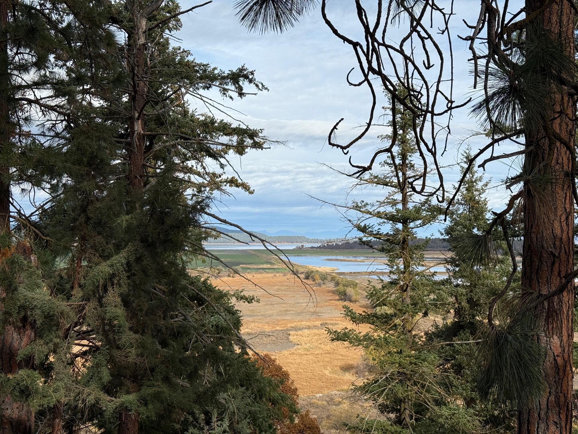 Running YResort - Land