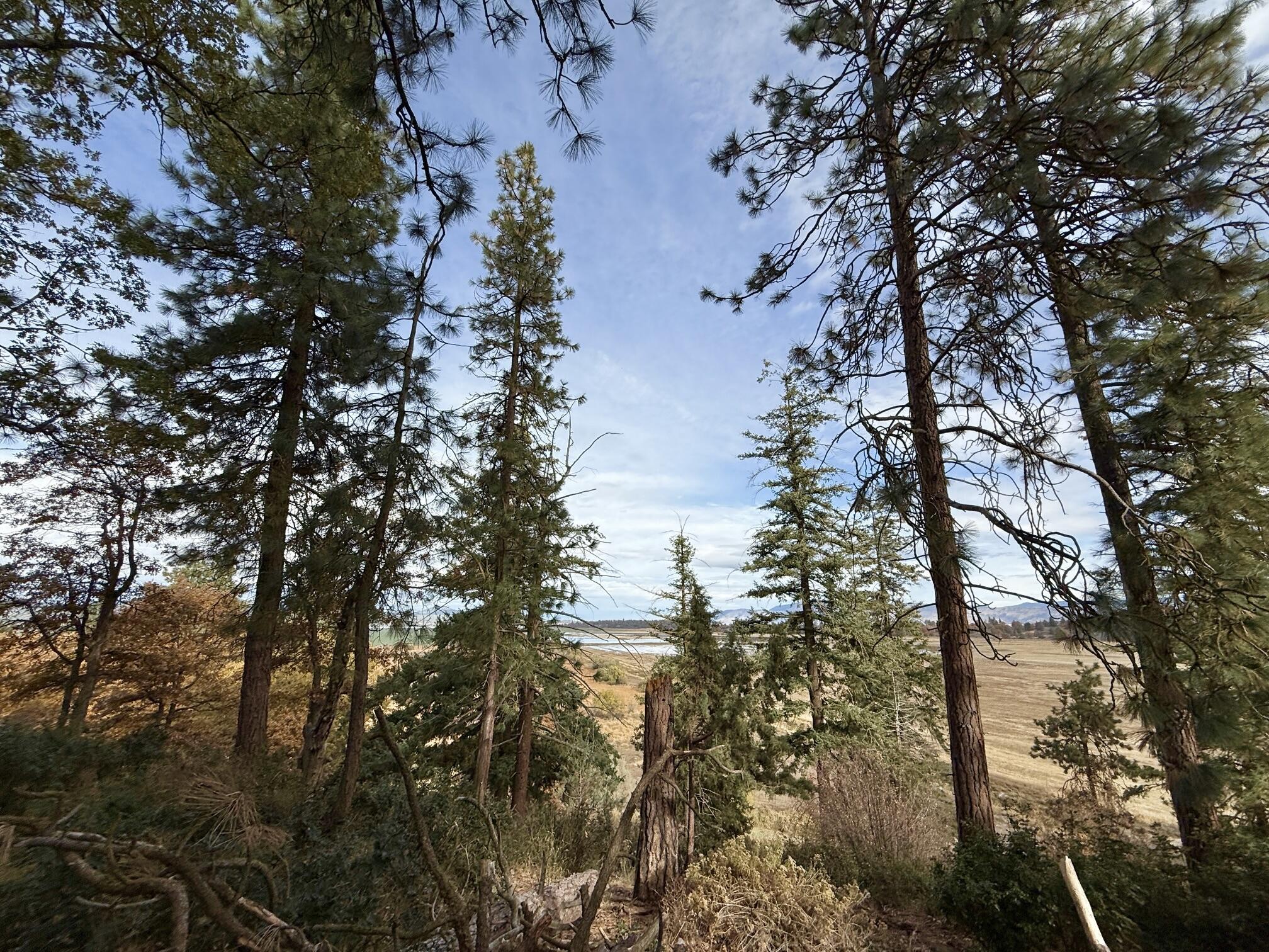 Running YResort - Land