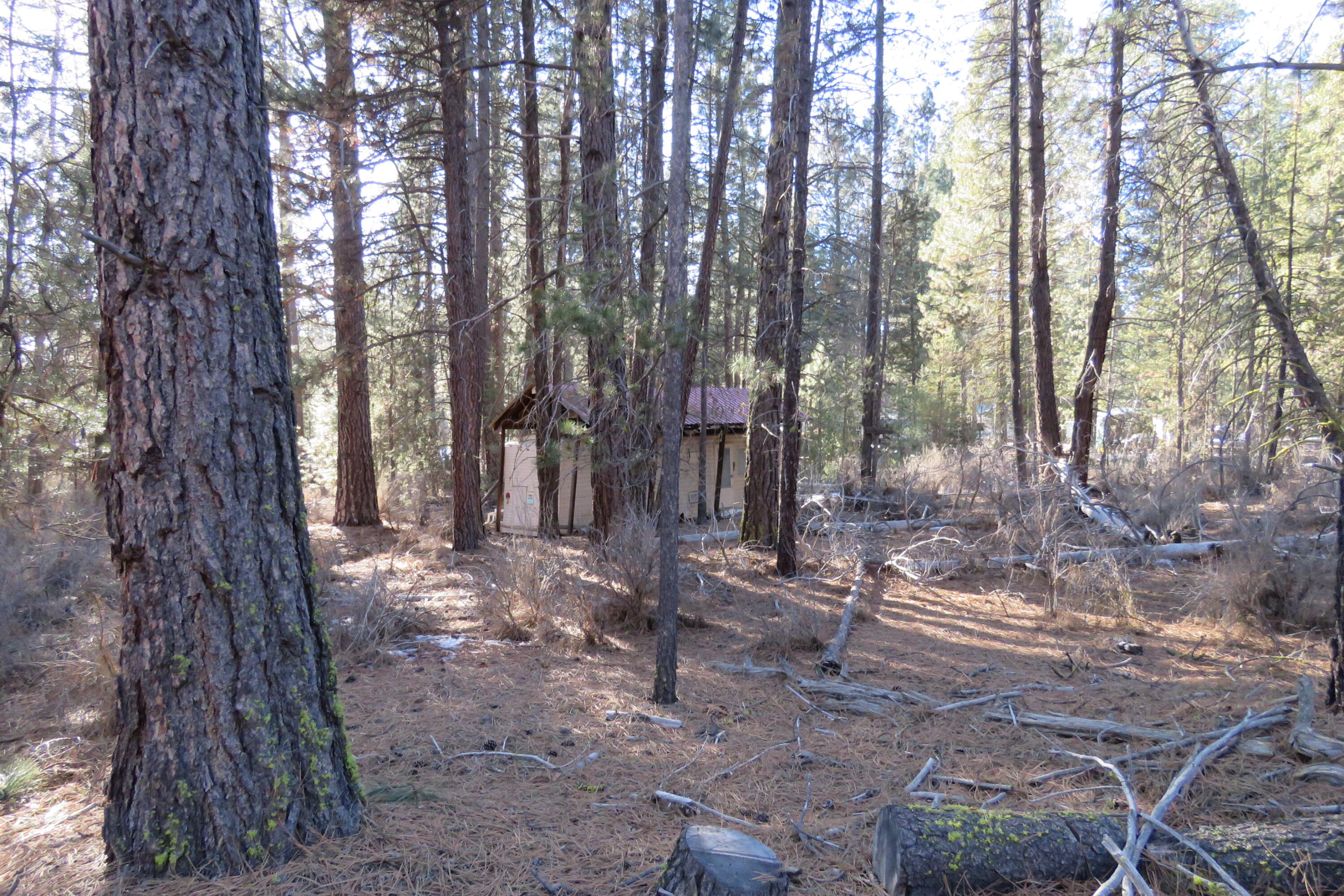 Woodland Park - Land