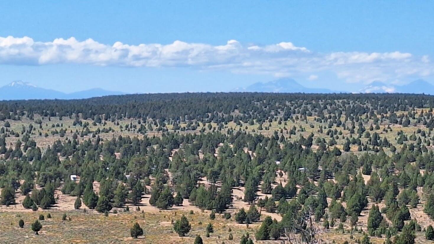 Golden View Ranch - Land