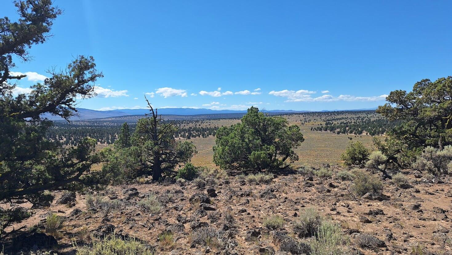 Golden View Ranch - Land