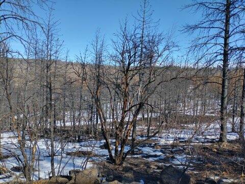 Klamath Falls Forest Estates Hwy 66 Unit Plat 4 - Land