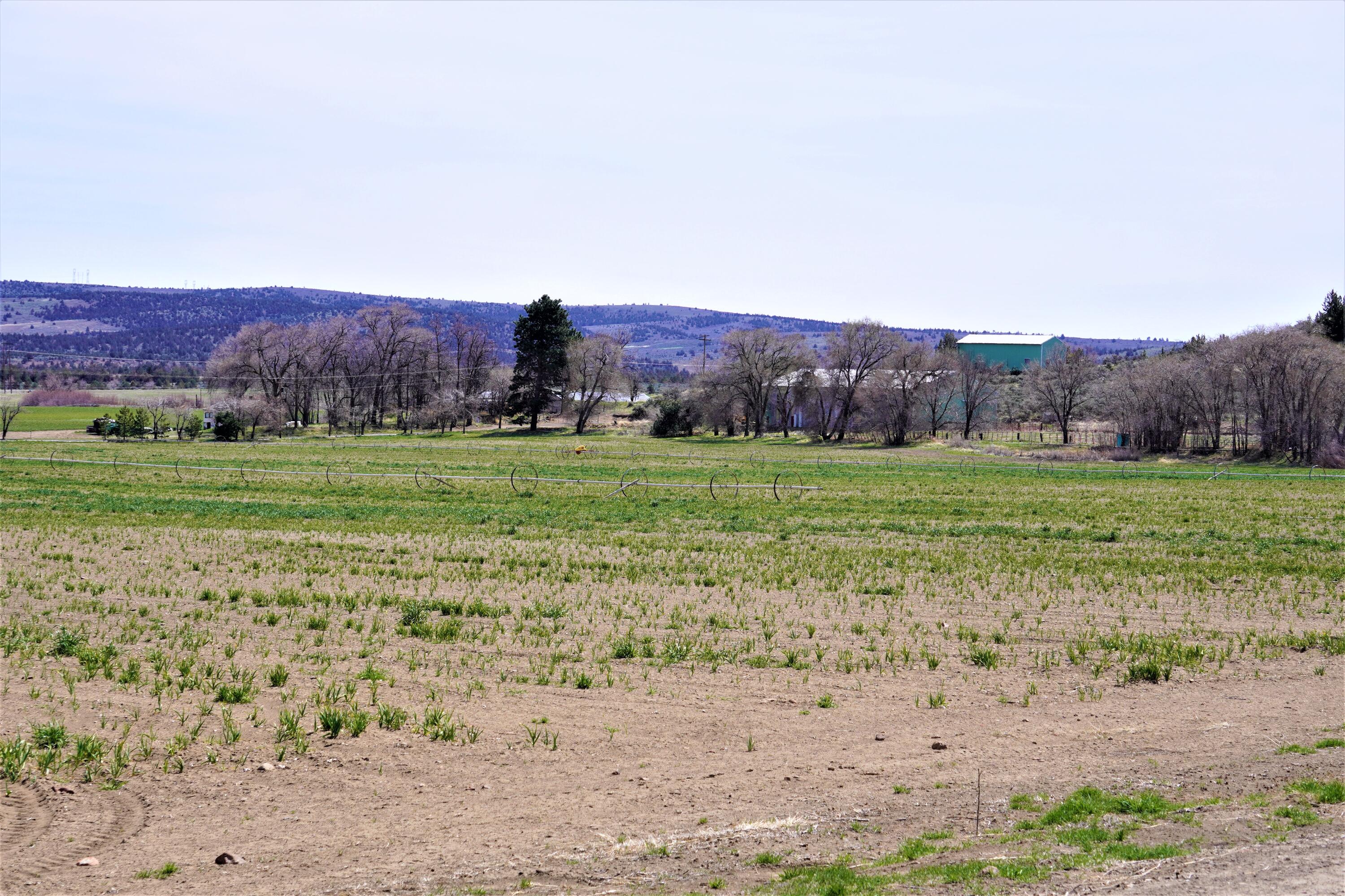N/A - Farm