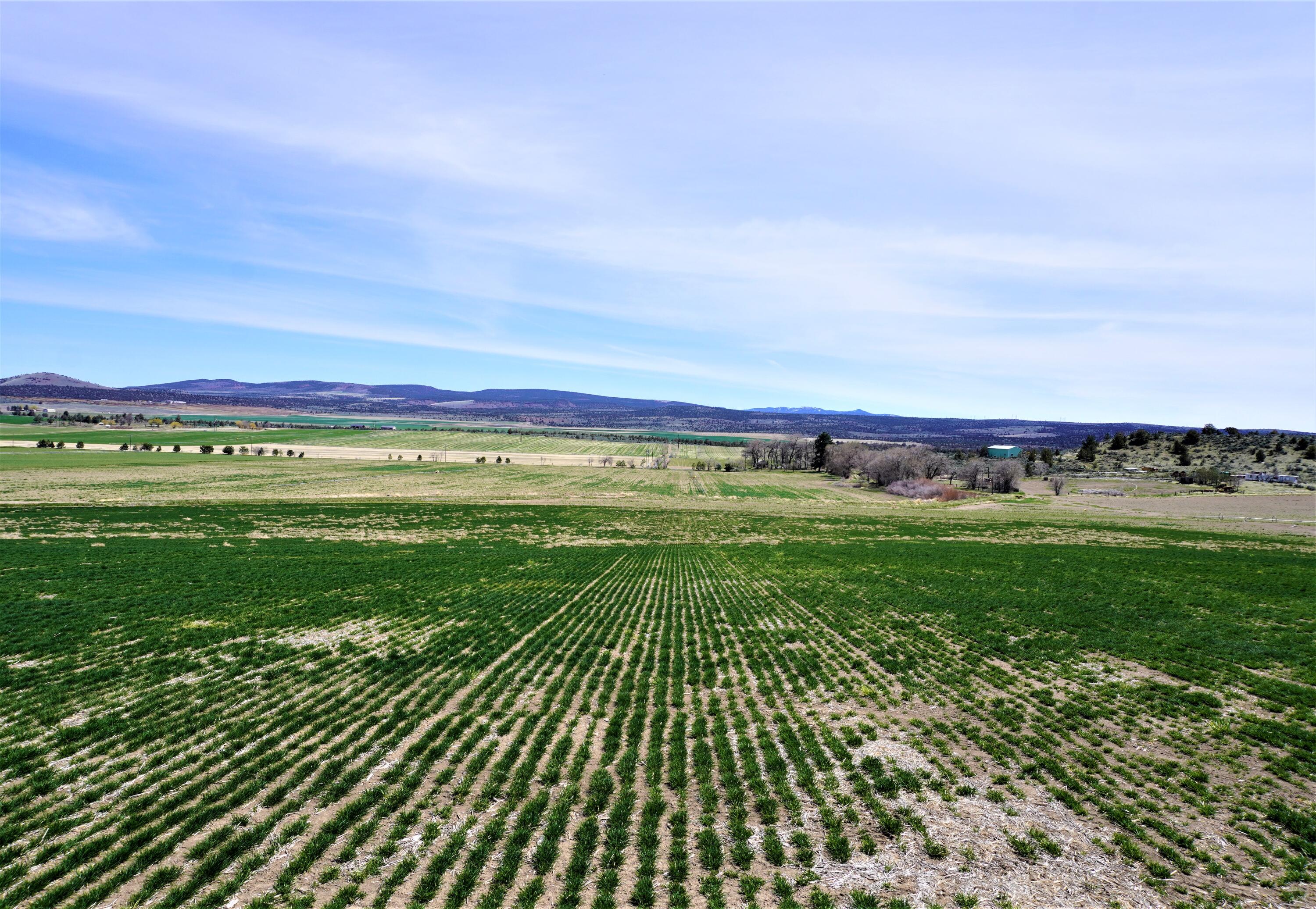 N/A - Farm