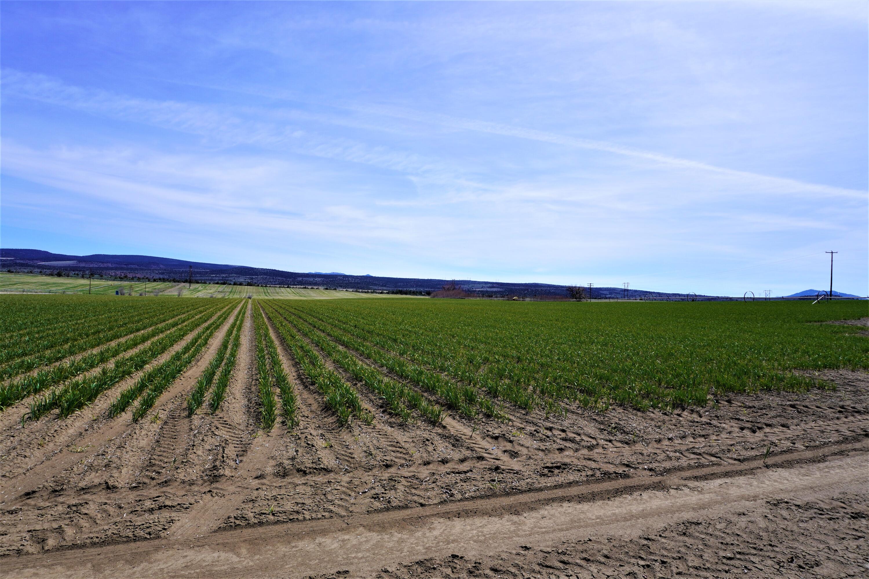 N/A - Farm