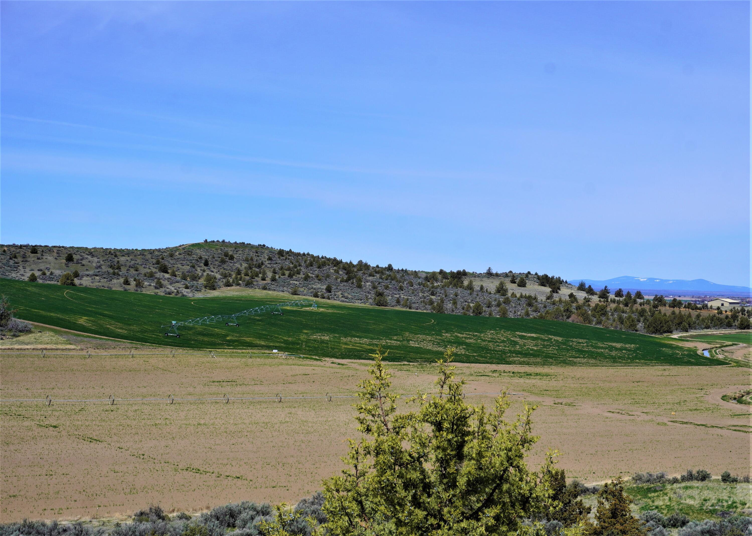 N/A - Farm