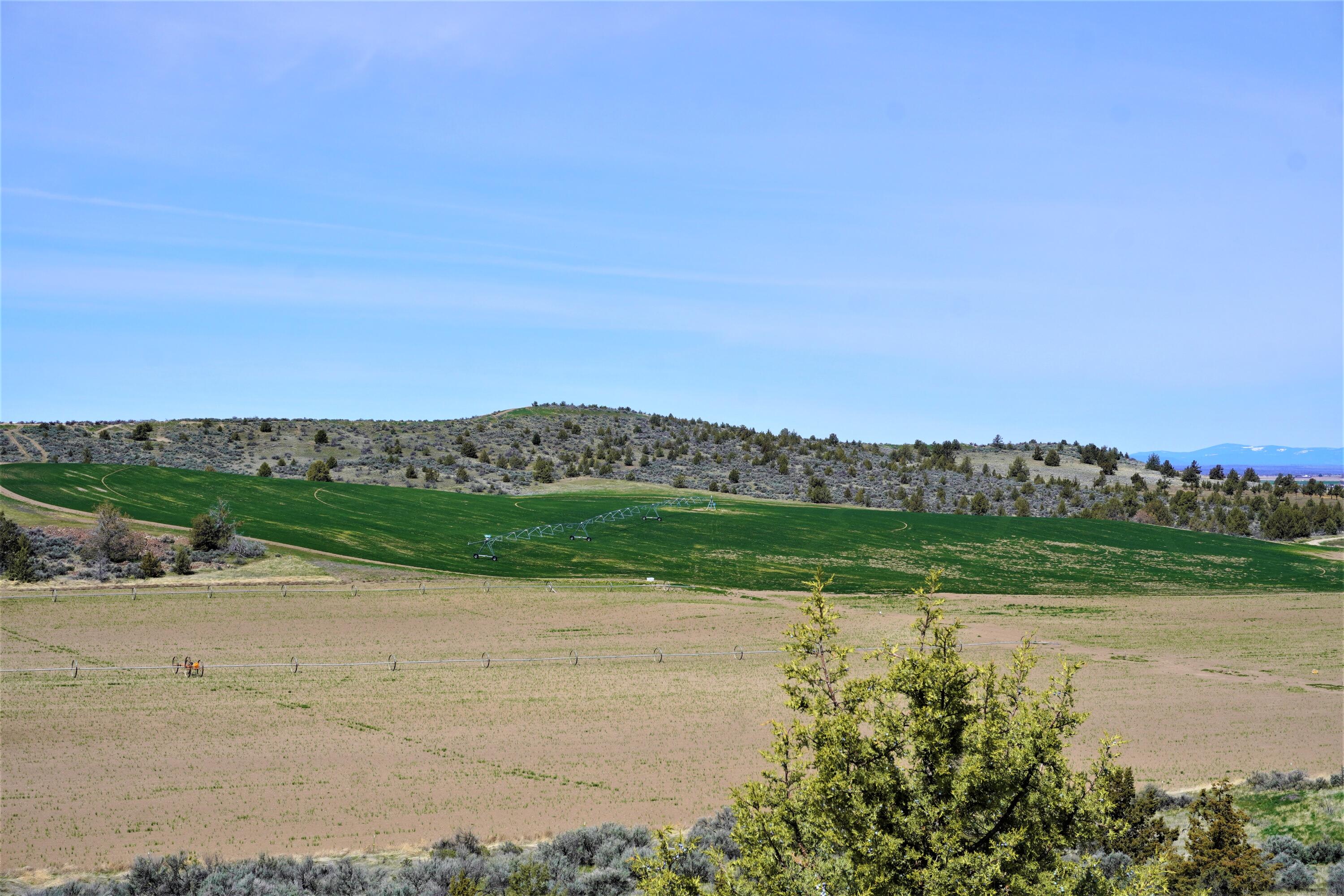 N/A - Farm