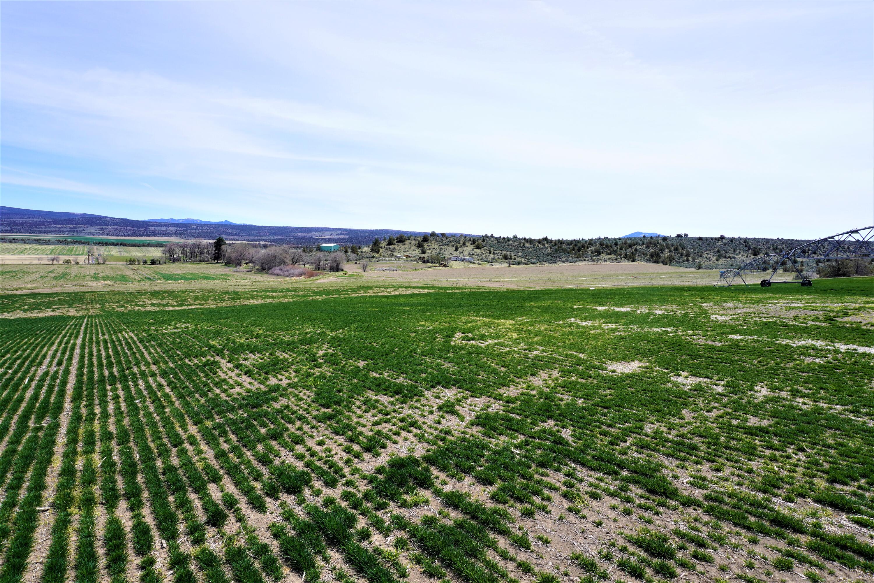 N/A - Farm