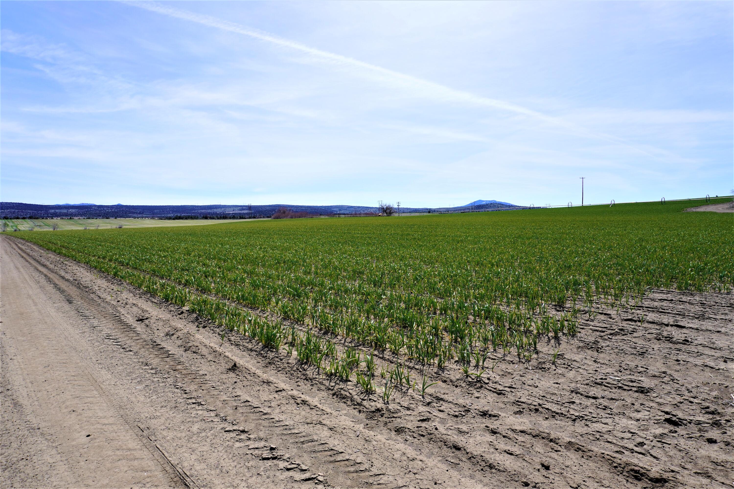 N/A - Farm