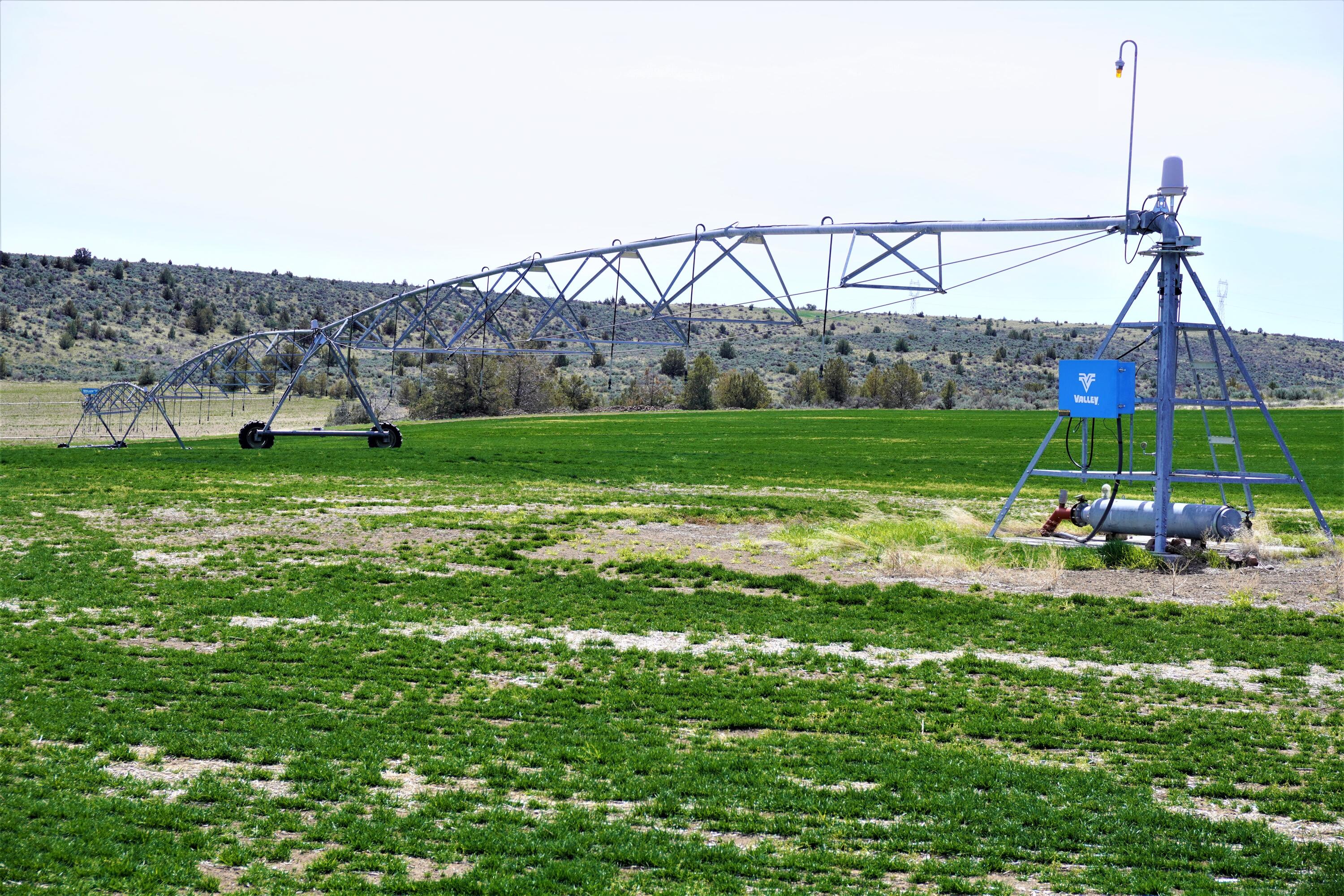 N/A - Farm