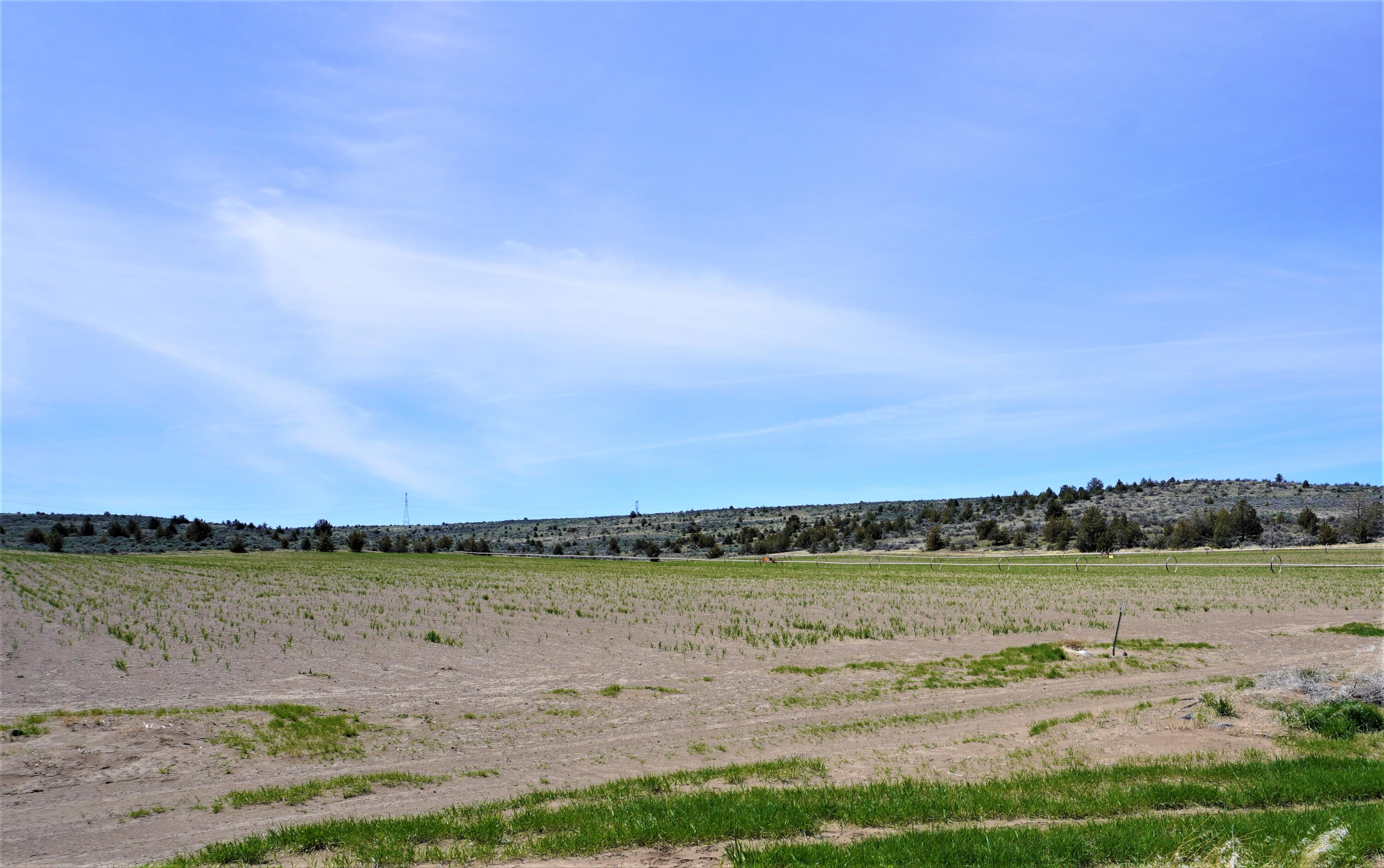 N/A - Farm