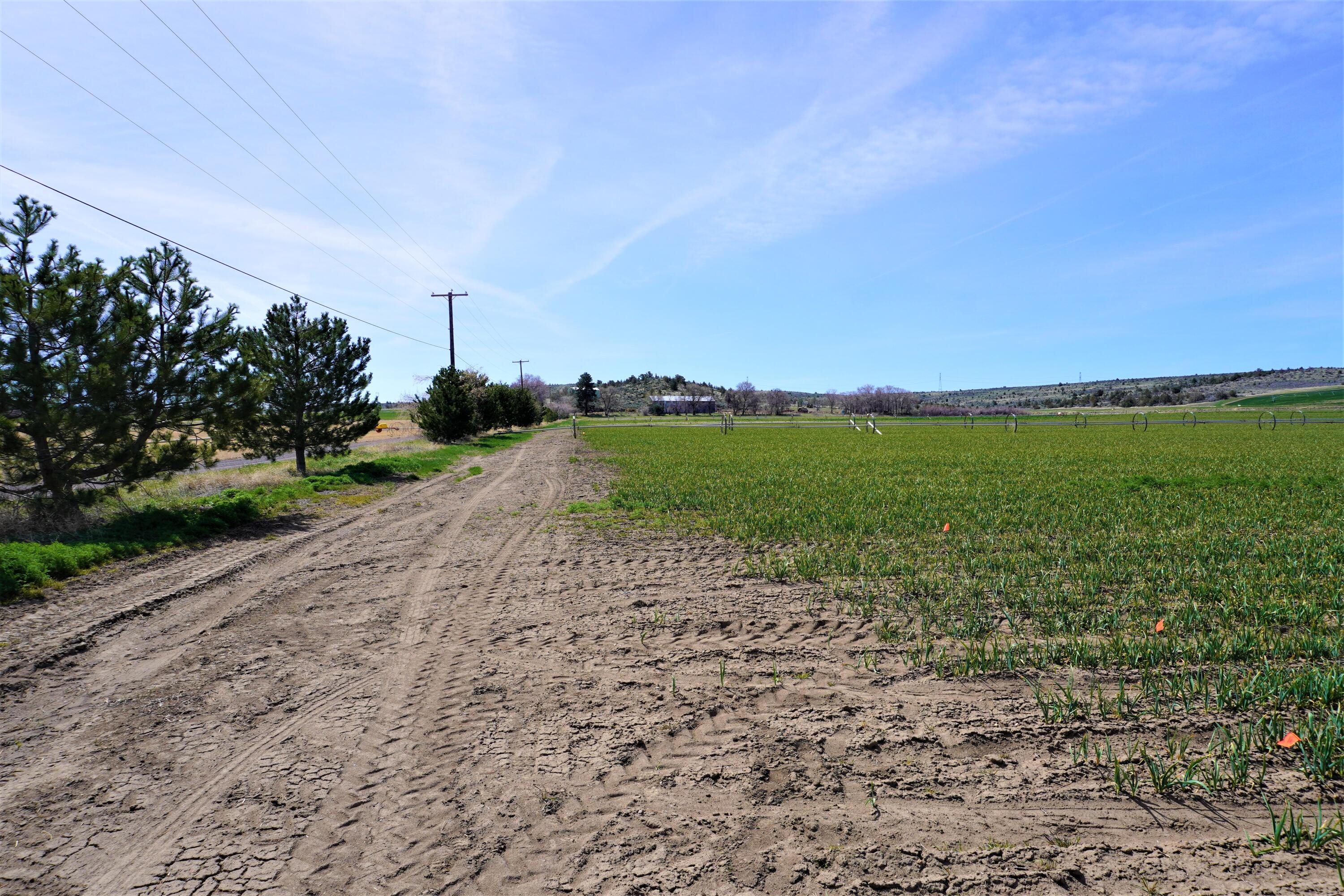 N/A - Farm