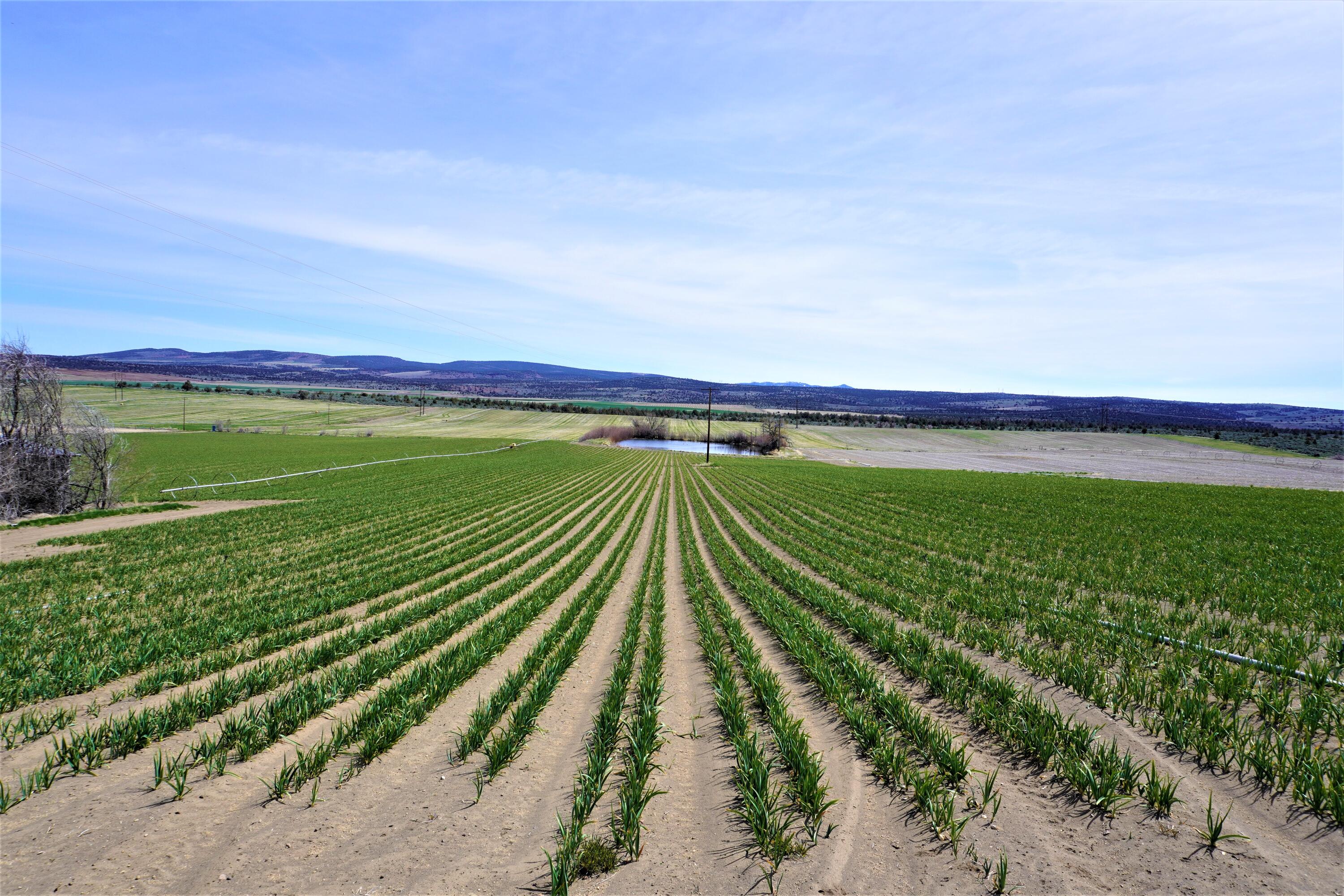 N/A - Farm