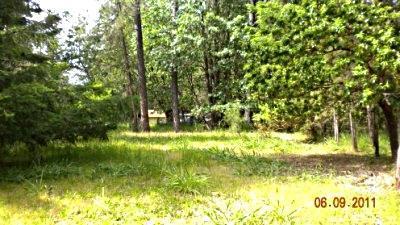 Close to the Applegate River & Fish Hatchery Park, value is this beautiful, level, useable parcel with pasture & room for animals. Circle drive. Live in this 720 sq ft cabin while you build or remove cabin & place a new manufactured home on this 4.87 ac parcel. Well log shows 7.5 gpm. Old septic system may need updating prior to building, no records at DEQ. Old 2 stall barn at back of property, no value. Estate Sale, priced to sell As Is. 1 bedroom 1 bath Cabin with oil heat not financeable as a dwelling.