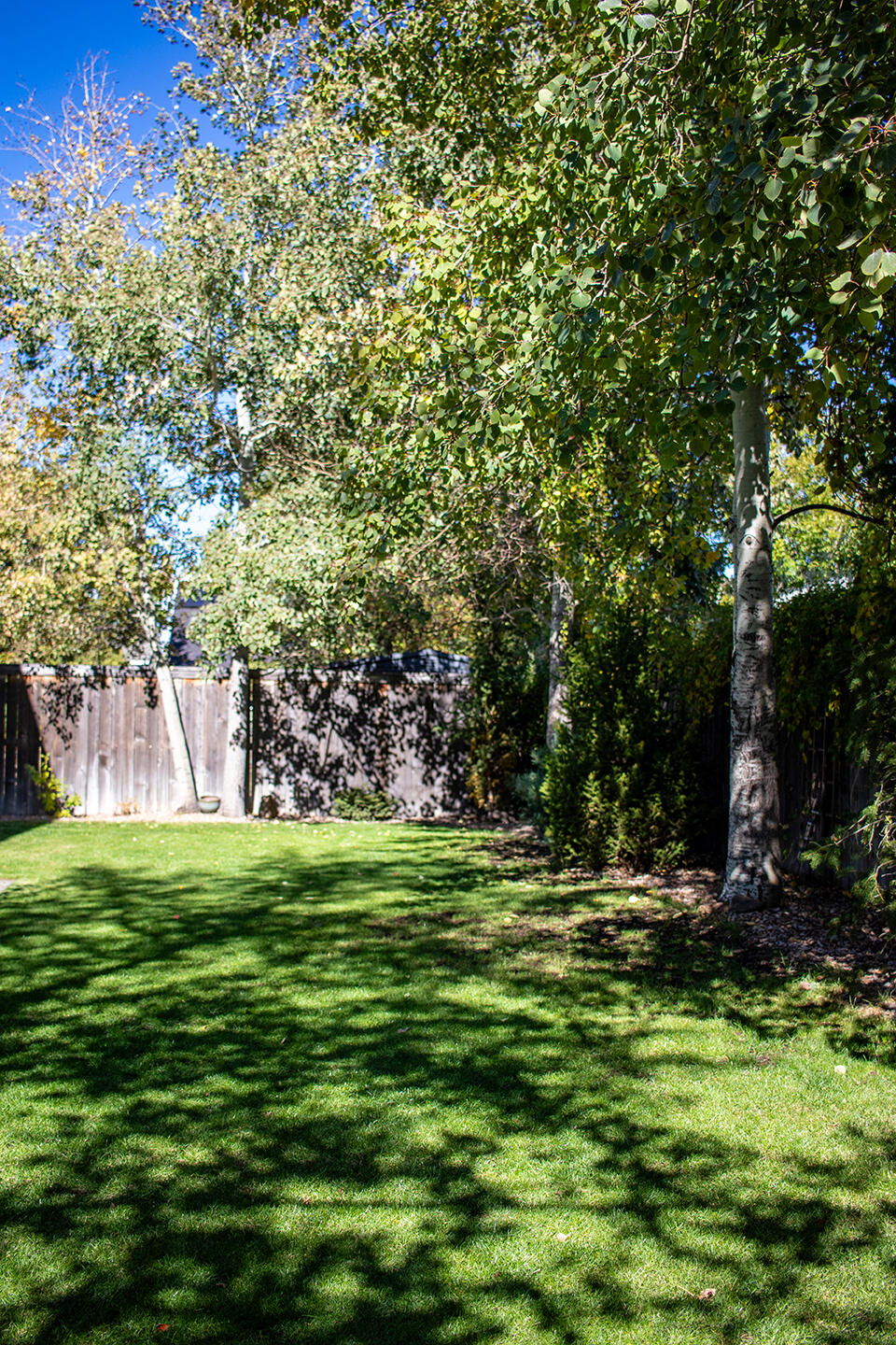 Westbrook Village - Residential
