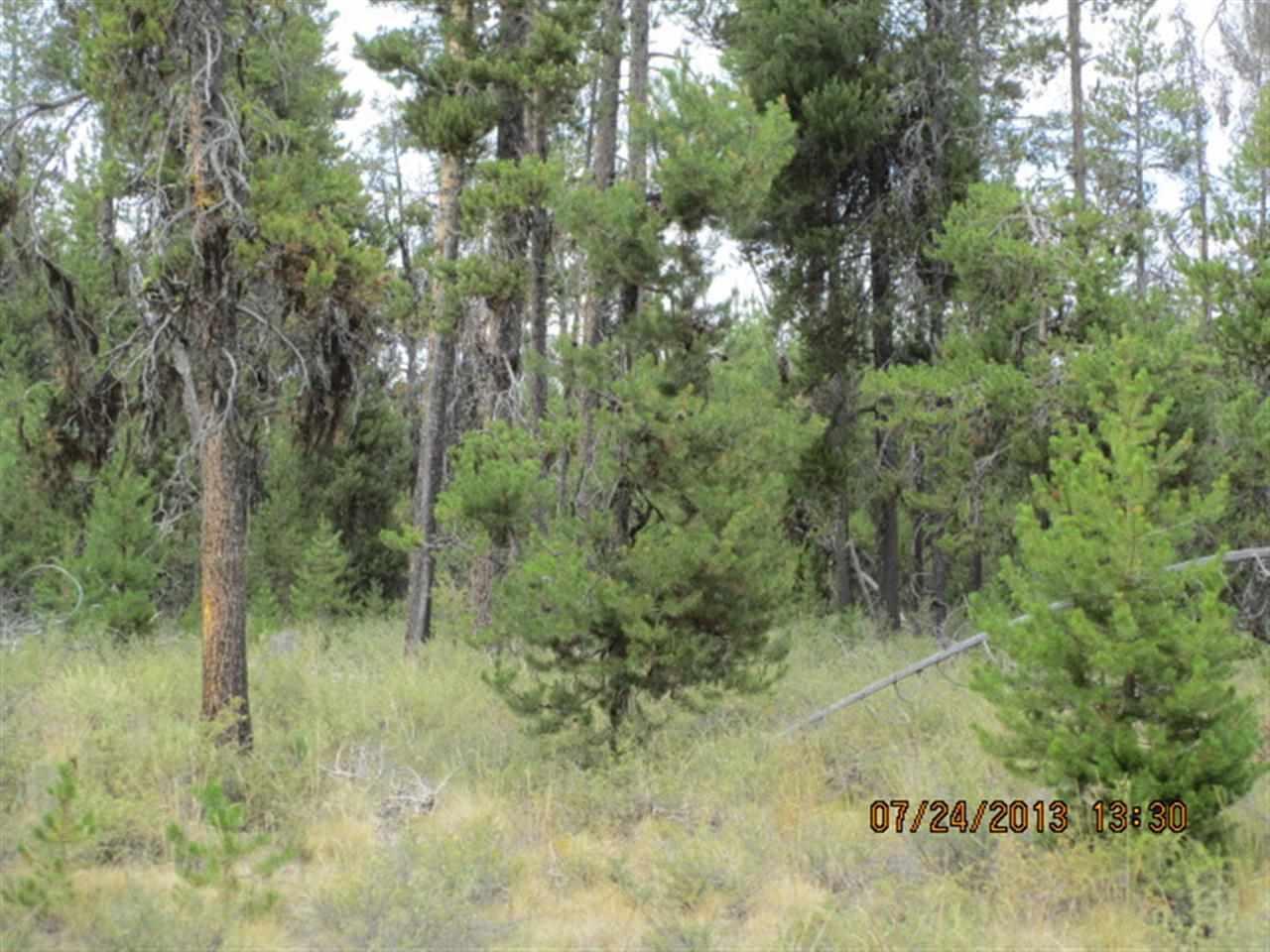 Beautiful Level Parcel In Mt. Scott Meadows, Located In Cul-de-sac For Privacy. Power Available, Good Wells In The Area, Approx. 100' Deep. Great Location Between Klamath Falls And Bend Or. Owner May Finance With 30% Down And Approved Credit.Area Photo