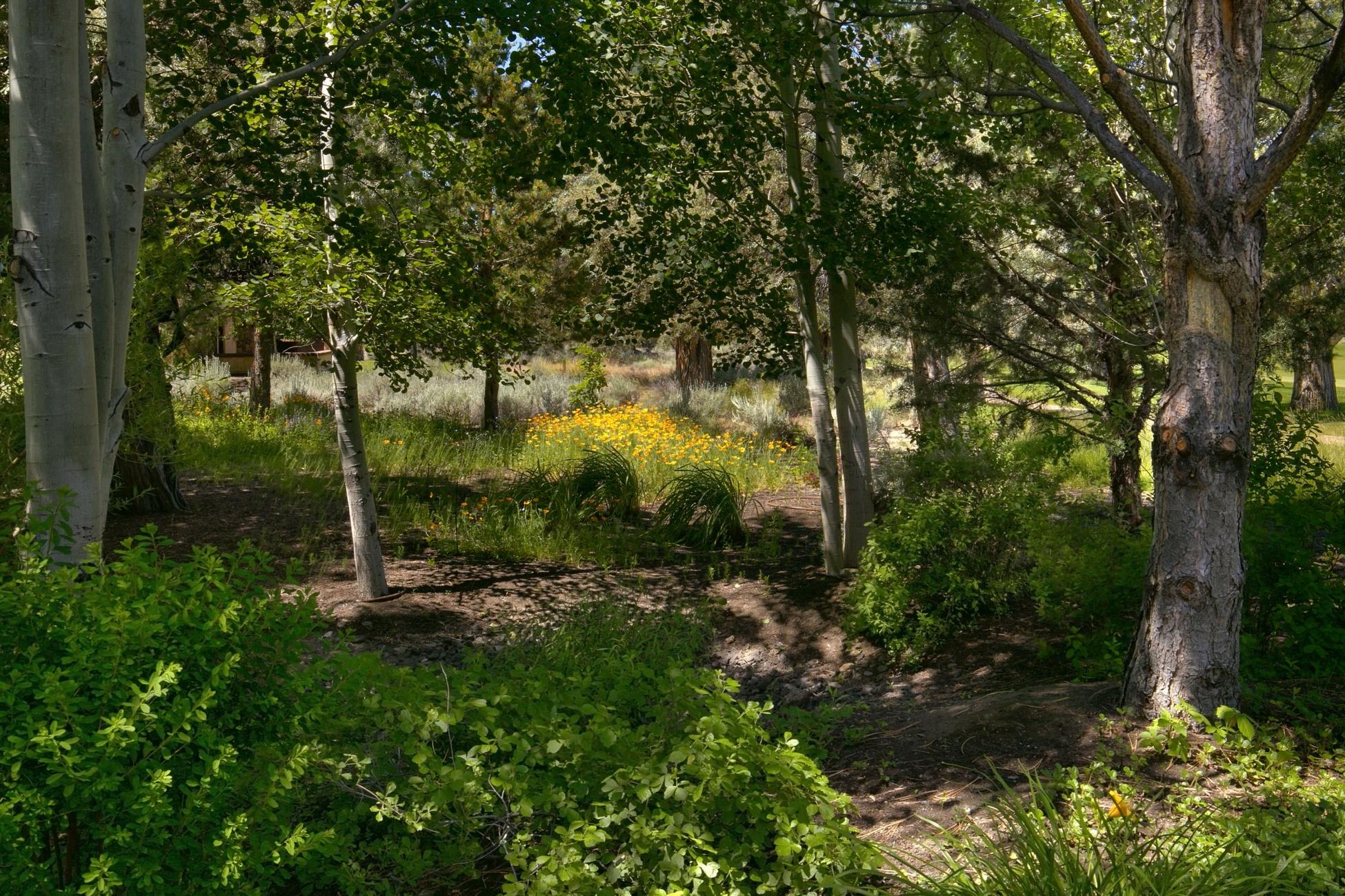 Pronghorn - Residential
