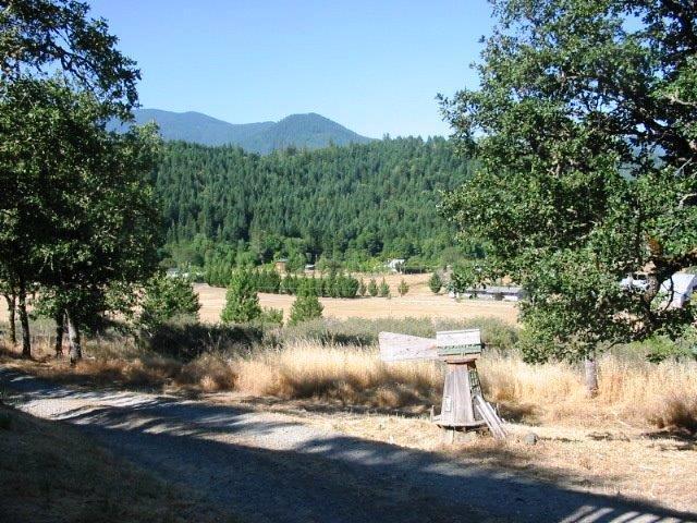 Location!Location! Location!40 acres tucked away on Panther Gulch Rd. in sunny Williams off East Fork Rd. Amazing views of the valley and Grey back Mountain. Build your dream home here, while living in the comfortable custom 640Sqft guest quarters built in 1993. Additional 320 sqft in the attic. Nice blend of oak forest, level and pasture land. BLM border. Power, sewer and water all stubbed underground to new home site. Home has metal roof, custom kitchen, nice cabinets, redwood trim casings.