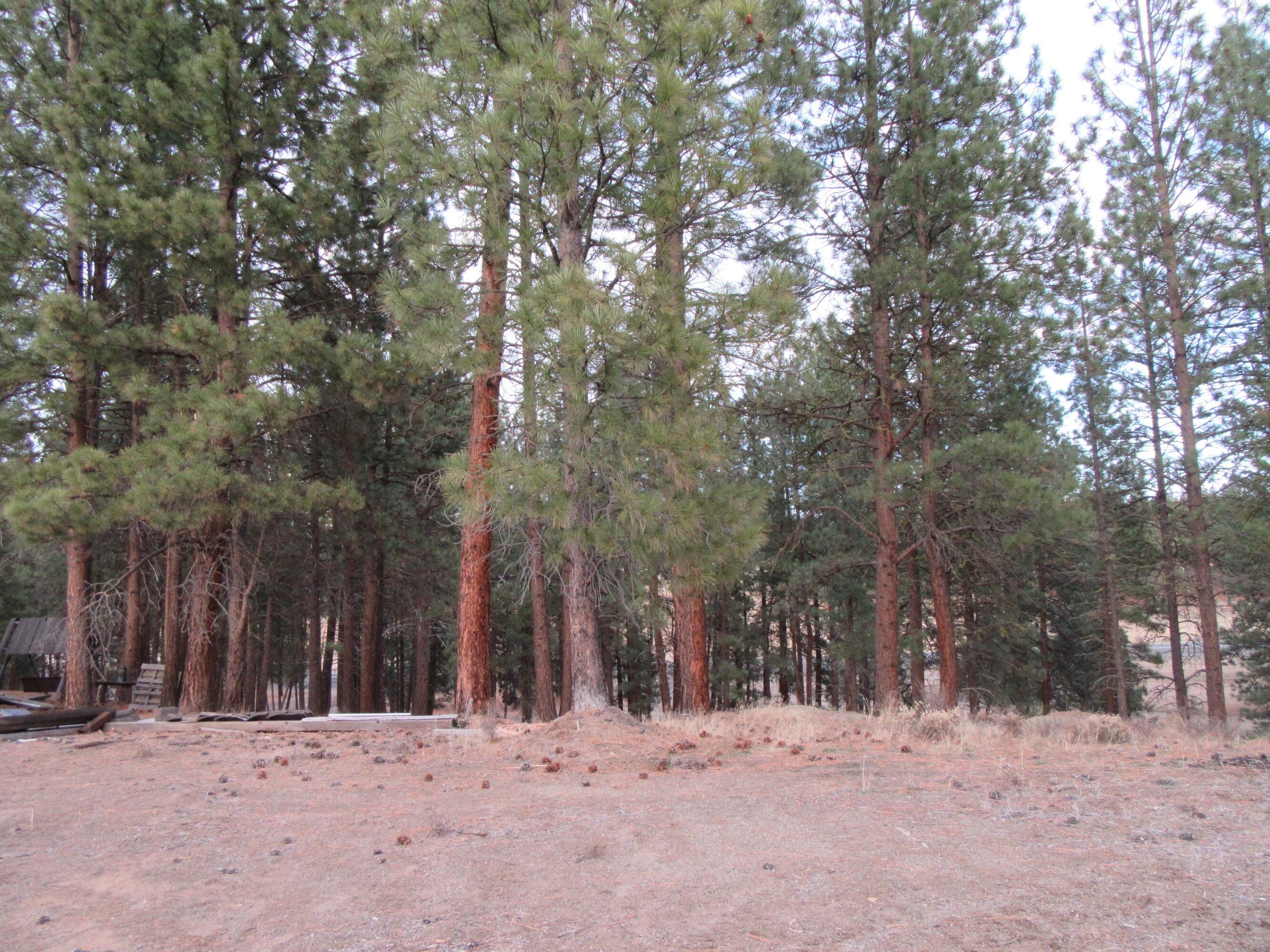 Chiloquin Acres - Residential