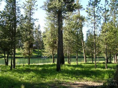 125 feet of Deschutes River frontage on this magnificent level homesite in an active river community. Build next to an old growth Ponderosa Pine to see a sweeping bend of the river. Sewer and water available at the street. 25 miles of boatable river right out back. One of the last lots left with decent frontage on the river.