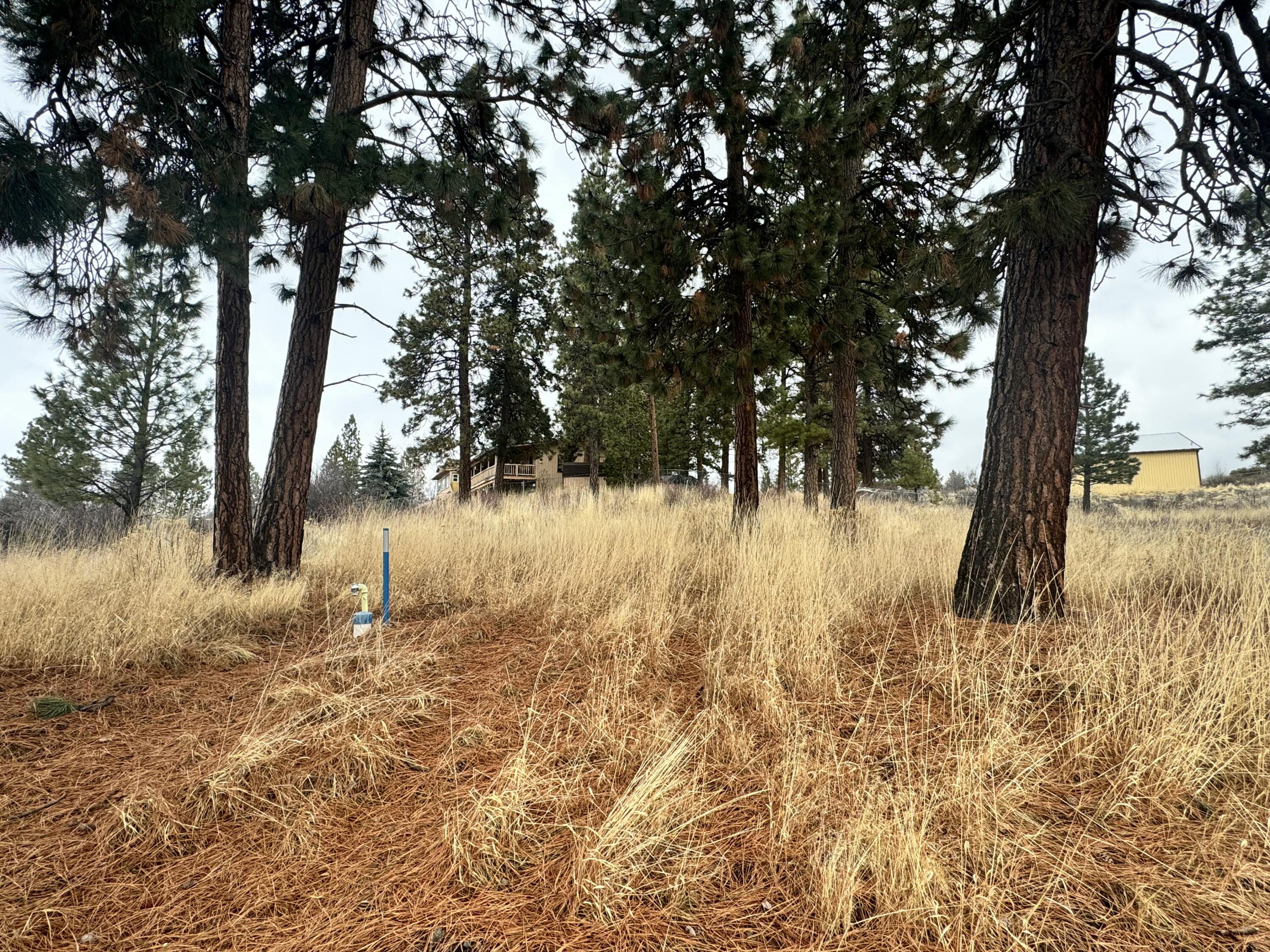 Oregon Shores -Unit 2-First Addition - Land