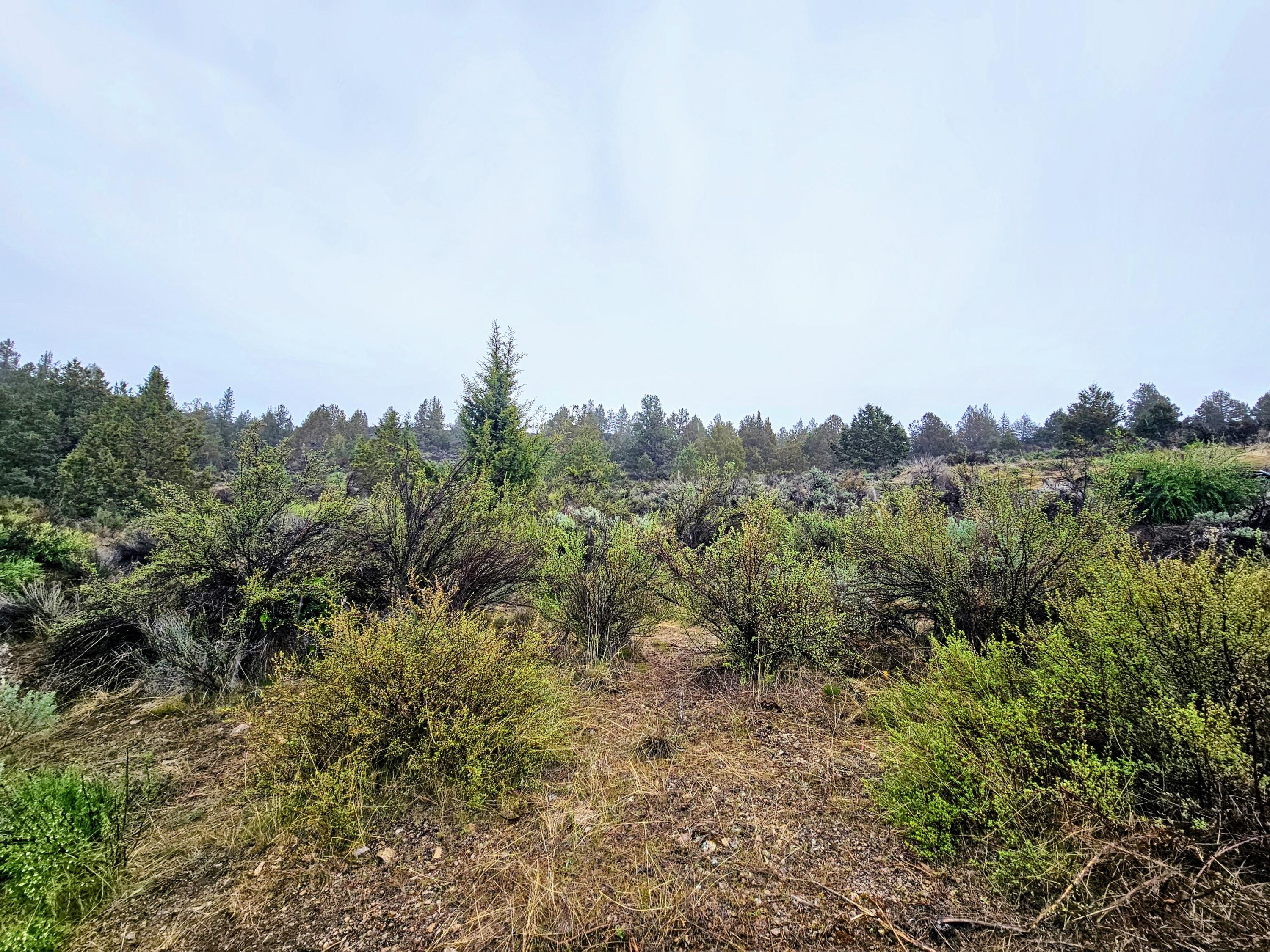 Corner lot 2.18 acres in the Nimrod river park 5th addition. (GPS coordinates 42.47746, -121.40007 )