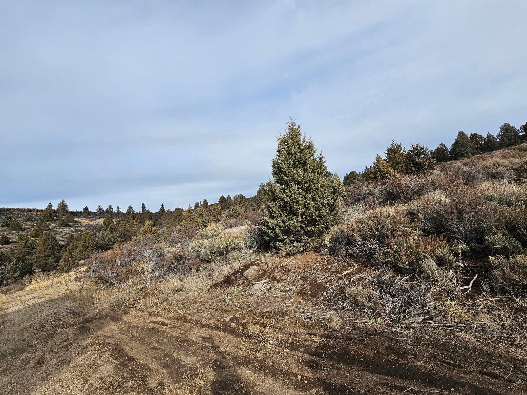 Nimrod River Park - Land