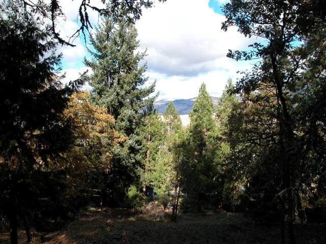 Right above the Oregon Shakespeare Festival and all that downtown Ashland has to offer. Beautiful .39 acre lightly wooded building lot that will offer gorgeous views from your new home. Fantastic location and an incredible area for walking and running above and through Lithia Park. From Glenview a few steps will take you onto the lot where you can enjoy the beautiful setting and imagine your home. City utilities are available. This is 2 tax lots that are also available separately. See MLS #2926209 and #2929200.