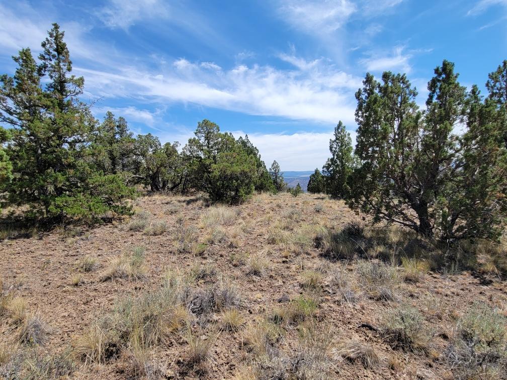 Prineville Lake Acres 2 - Land