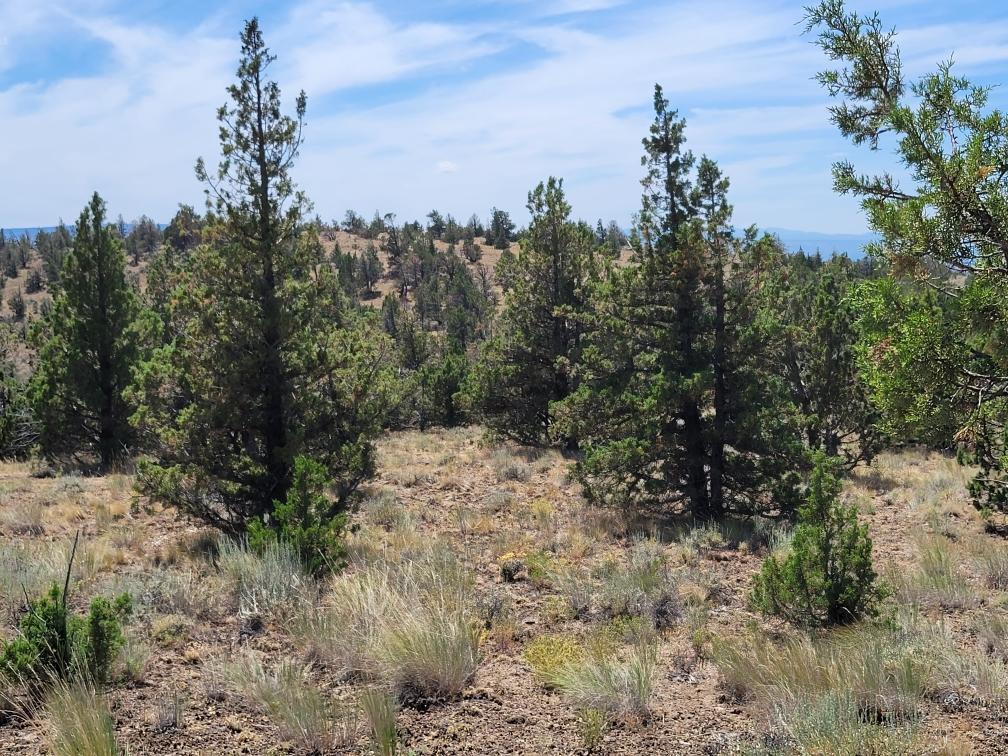 Prineville Lake Acres 2 - Land