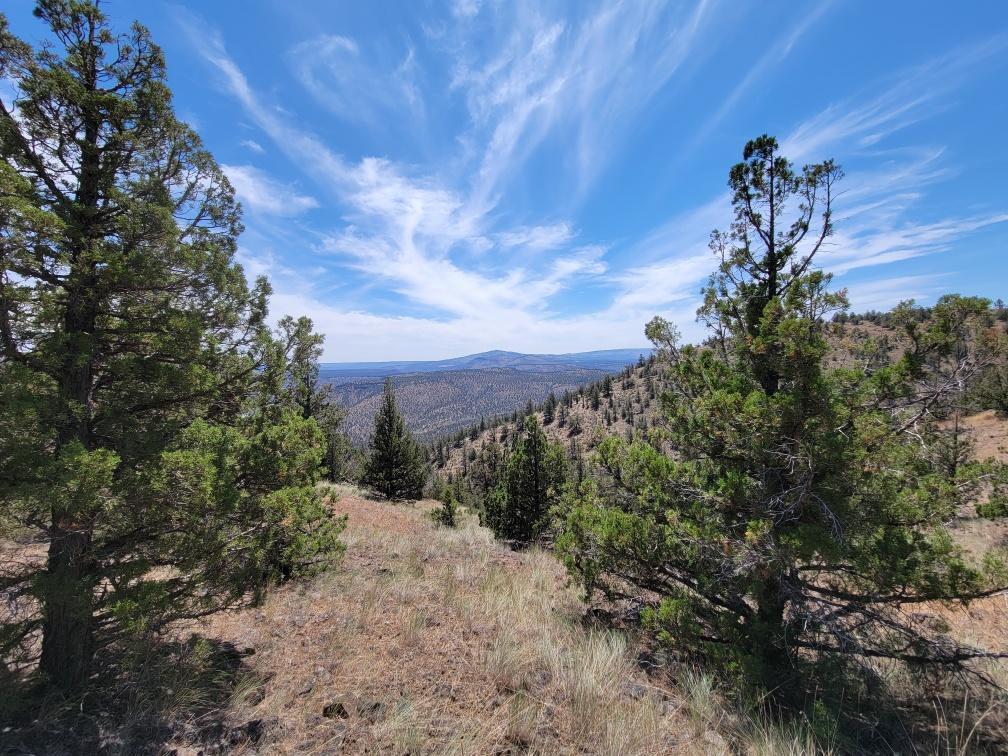 Prineville Lake Acres 2 - Land