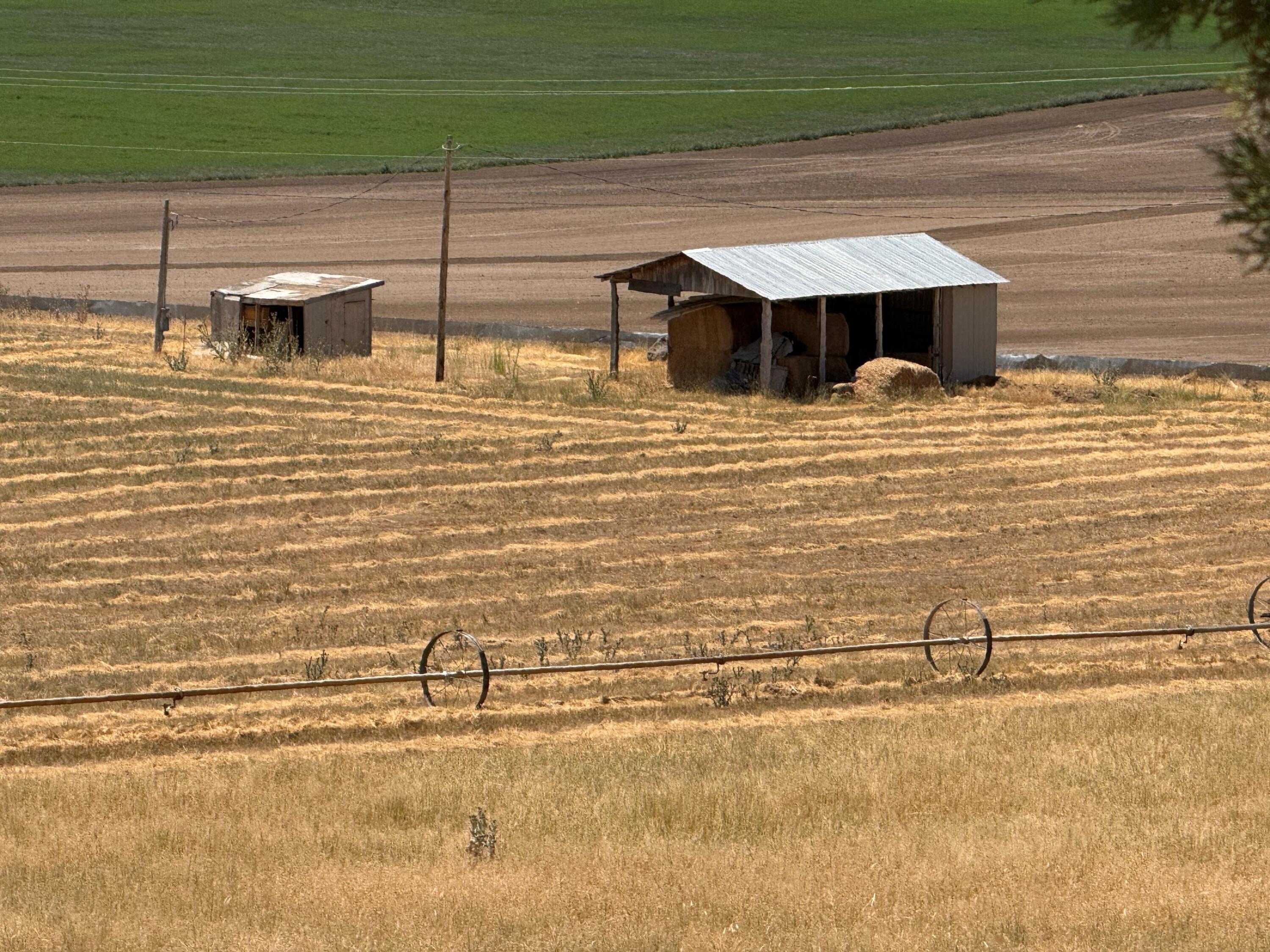 N/A - Farm