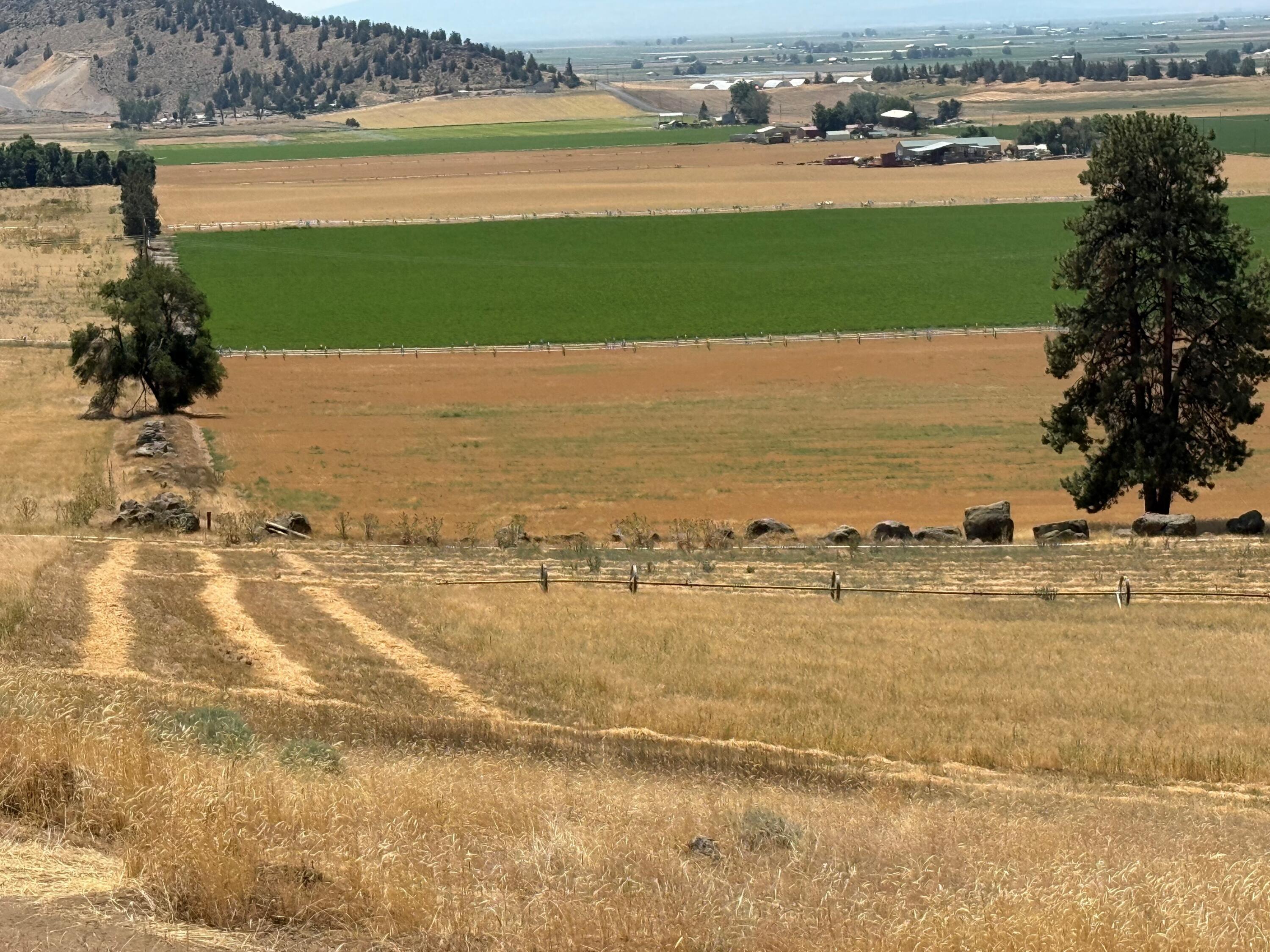 N/A - Farm