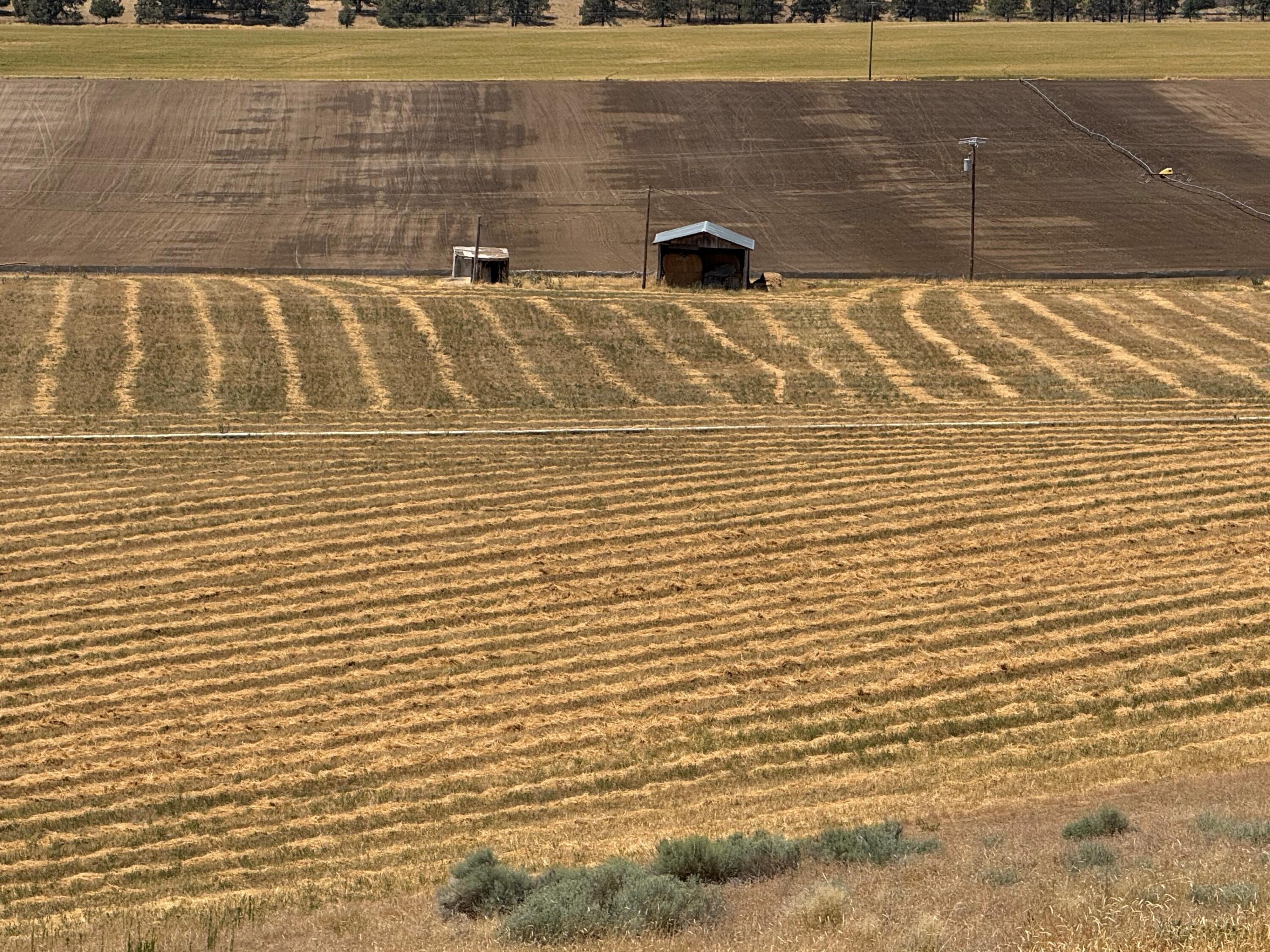 N/A - Farm