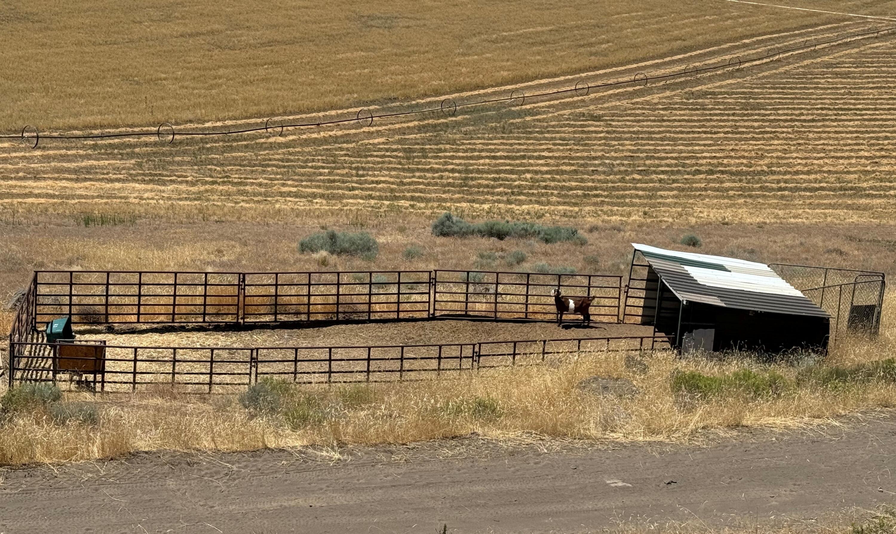 N/A - Farm