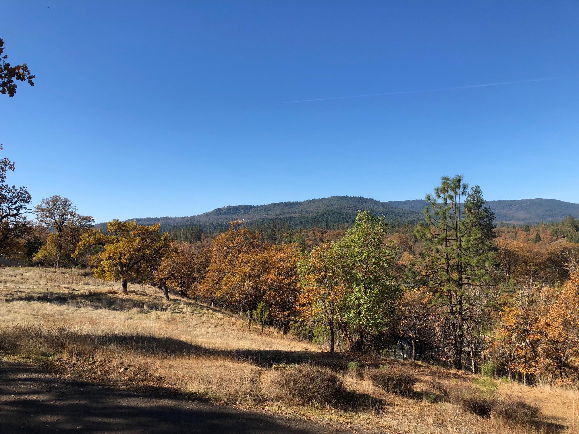 Manzanita Hills - Land