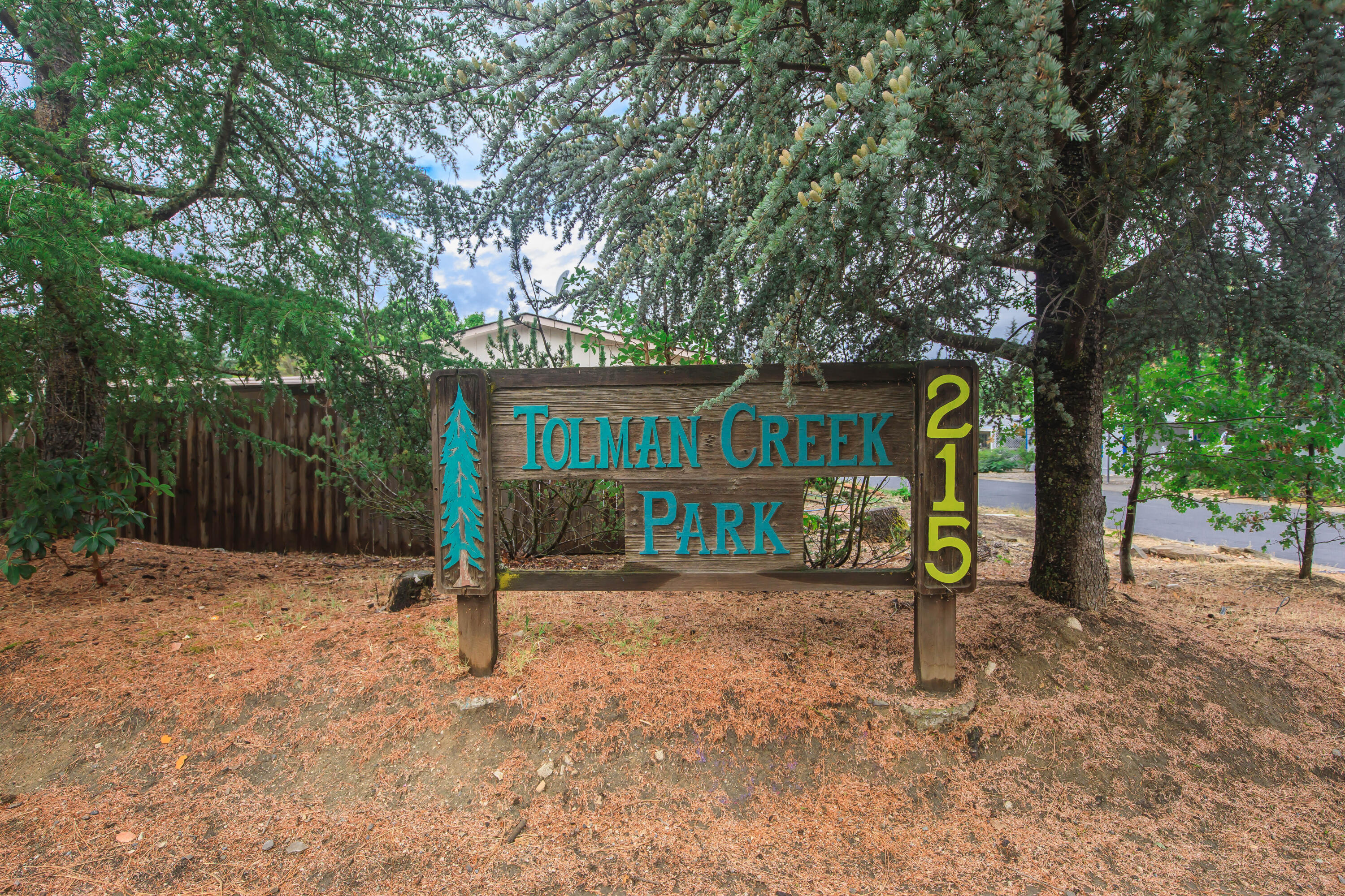 Tolman Creek Meadows Phase 1 - Residential