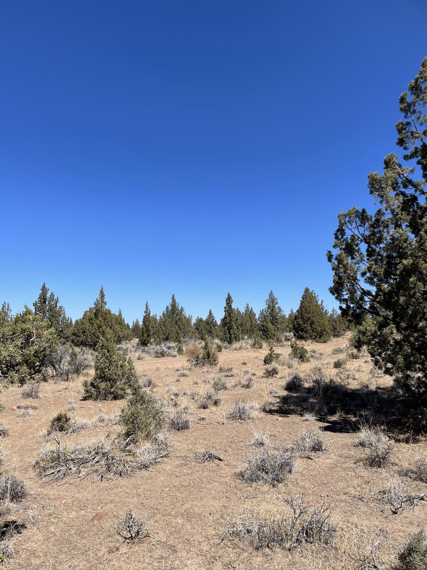 Juniper Acres - Land