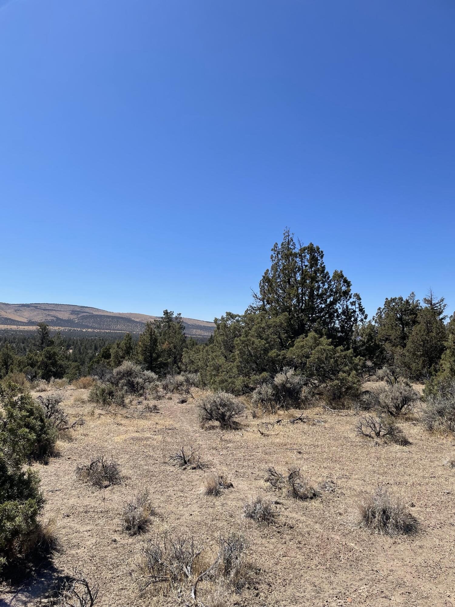 Juniper Acres - Land