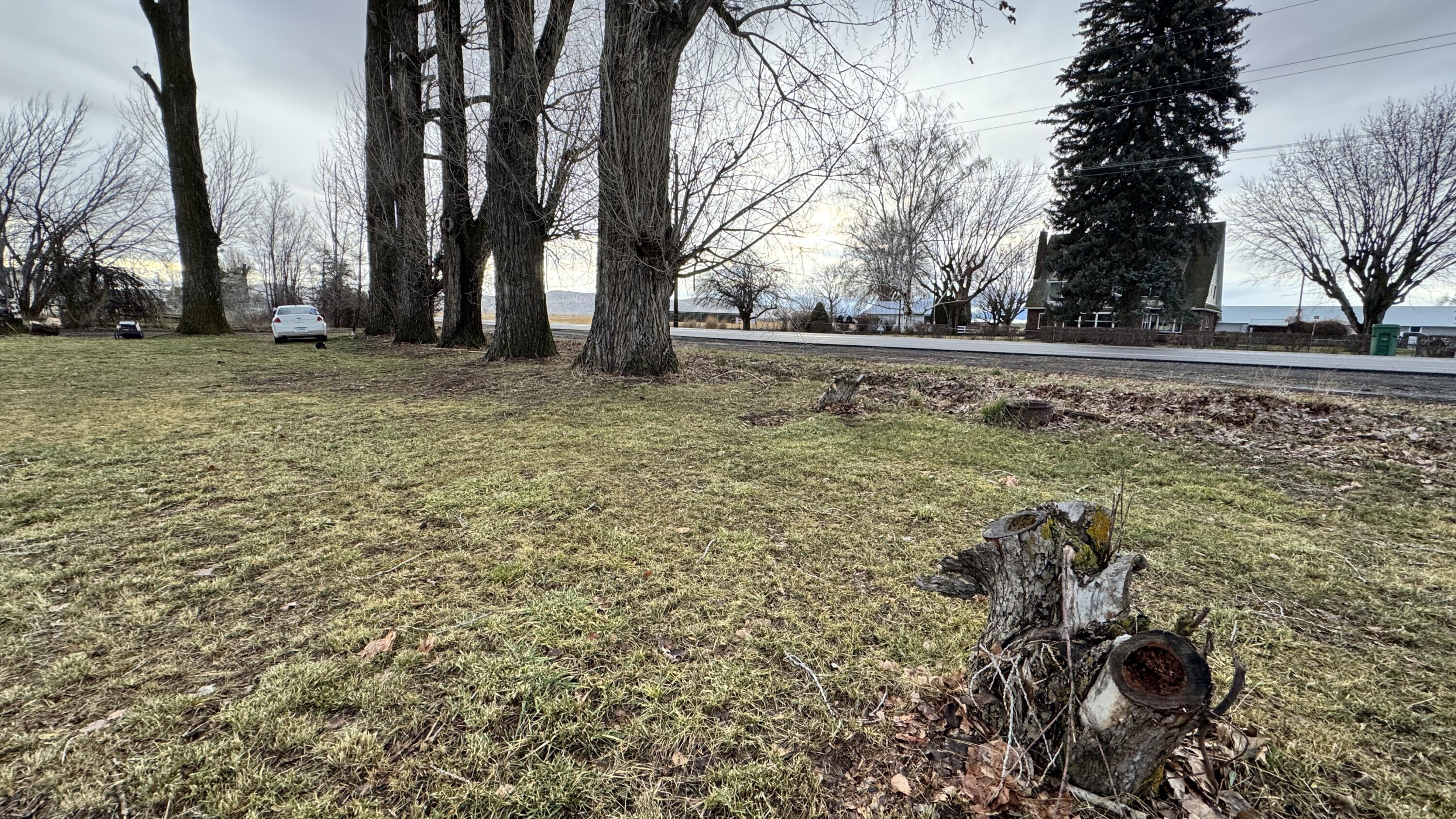 Henley - Residential