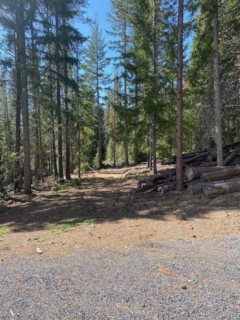 Here is a chance to own one of the few Lots in Diamond Peaks that you can use for recreation. Bring your camp trailer , Motor home or Build your dream home or cabin. This lot has been cleared and ready for your enjoyment. Just a few short minutes from Crescent and Odell Lakes and Willamette Pass Ski Resort. Also miles of trails for hiking,ATVs , snowmobiles and biking.