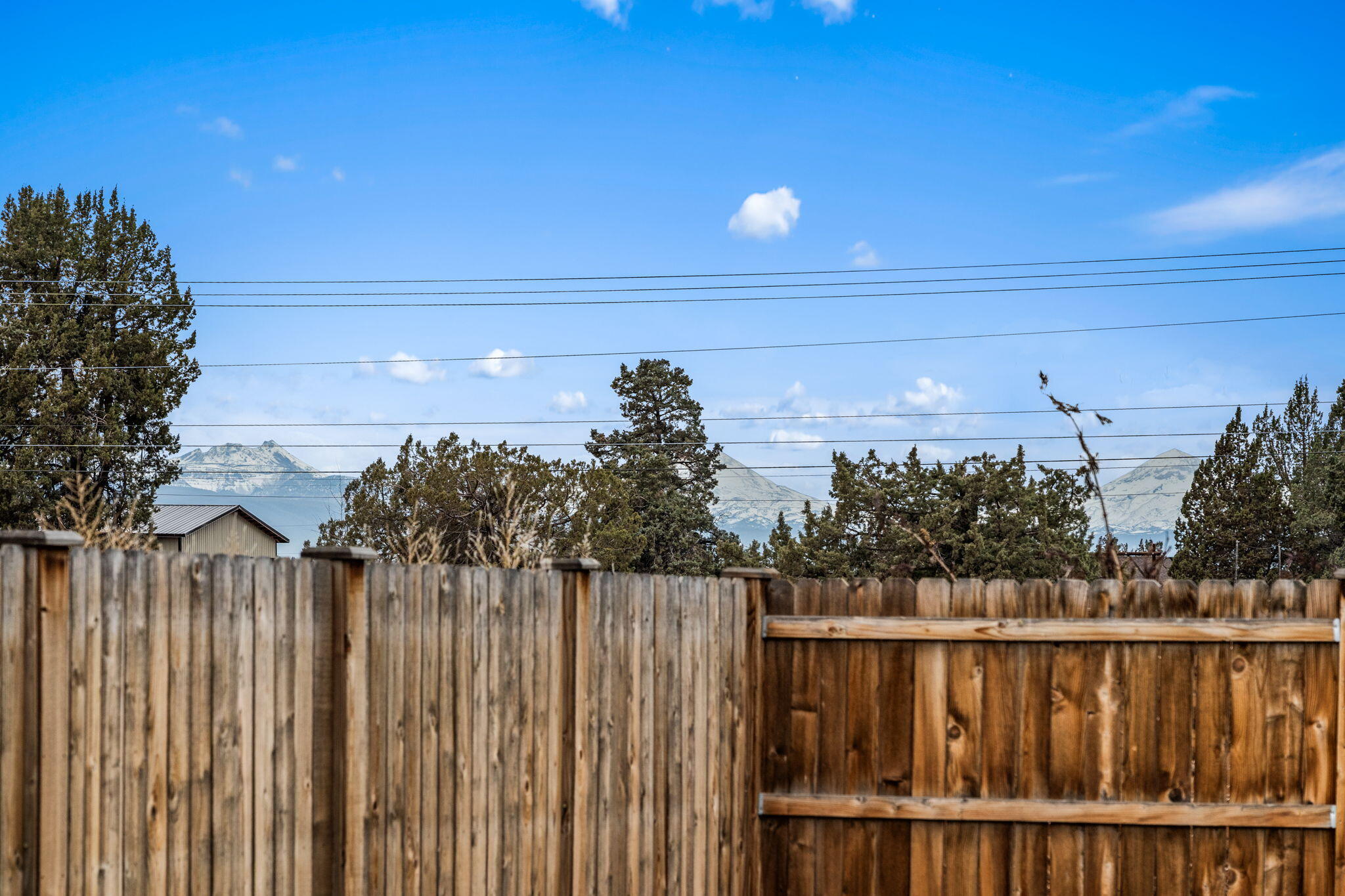 Josie Meadows - Residential