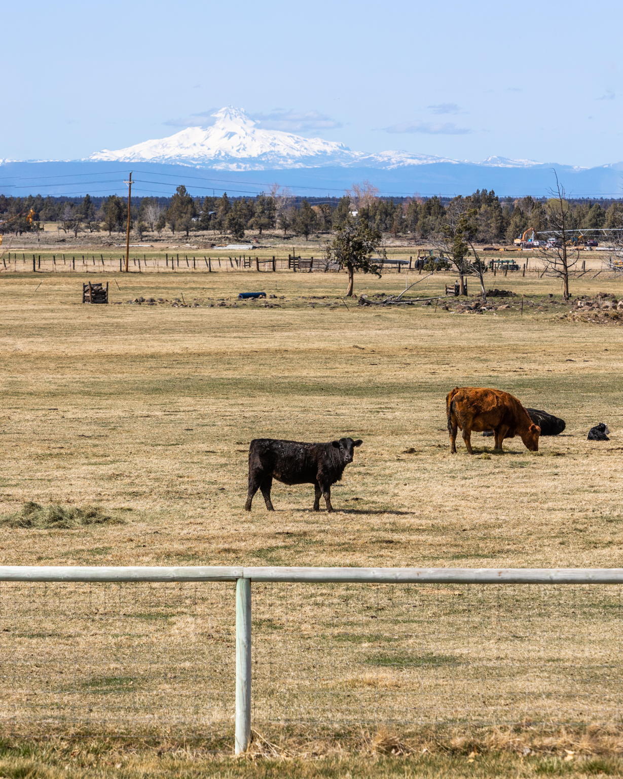 N/A - Land