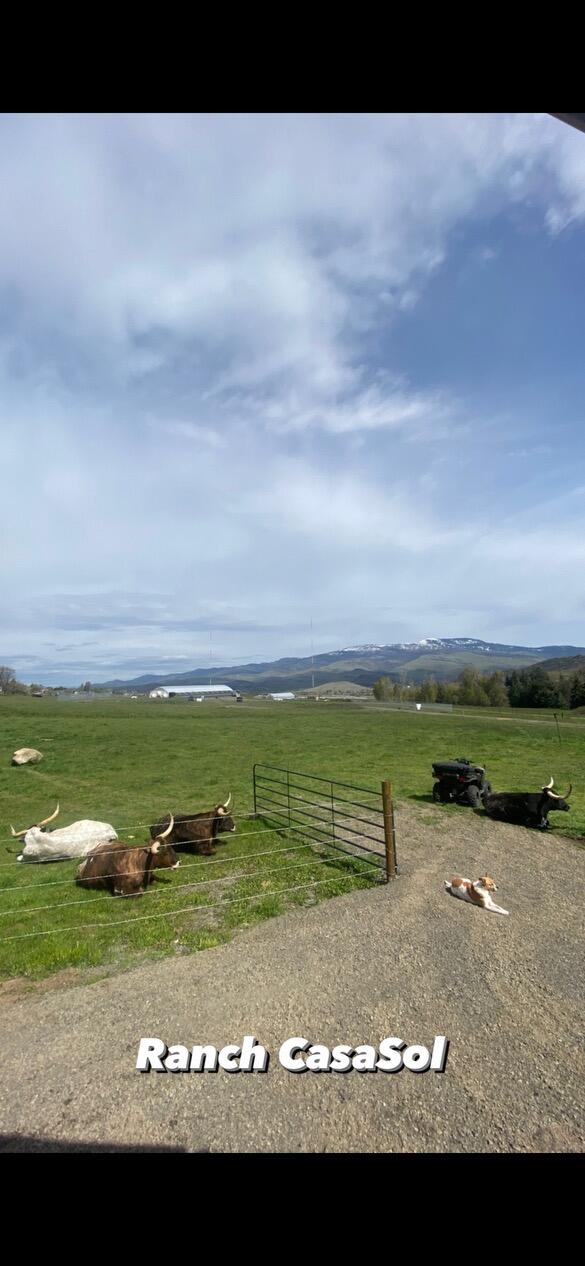 N/A - Farm